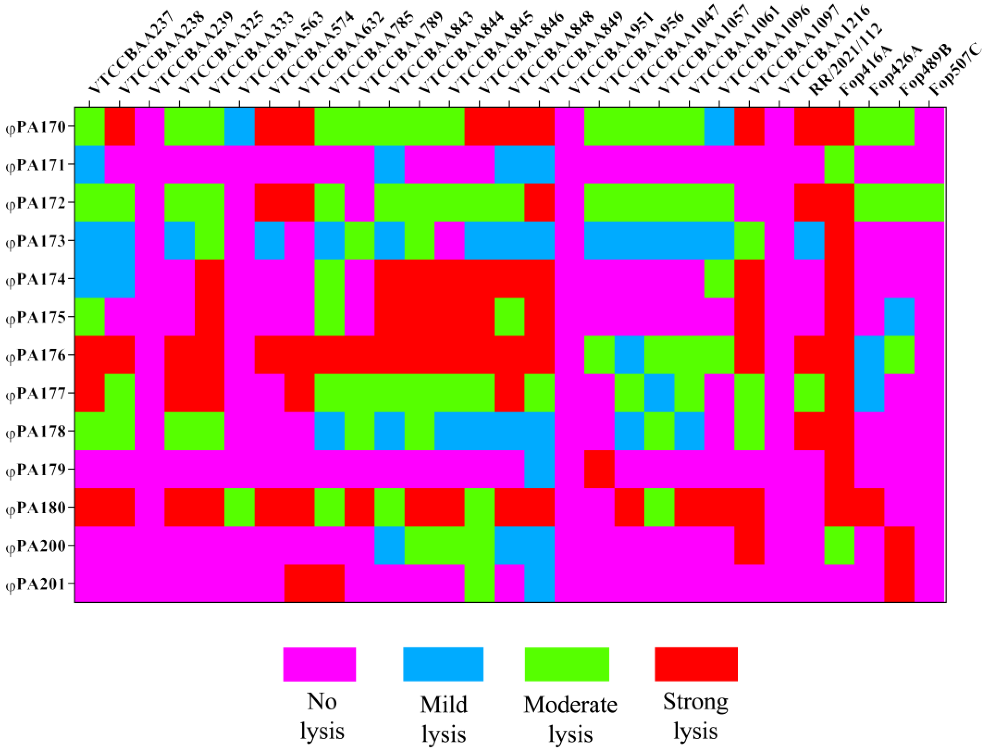 Viruses 15 00427 g001