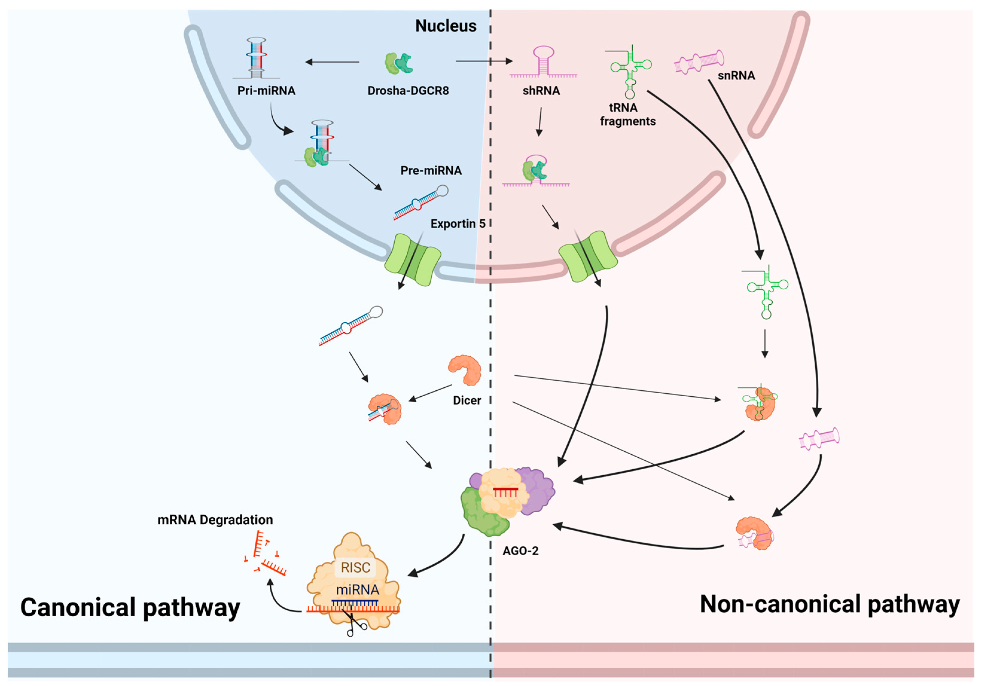 Viruses 15 00429 g001 Viruses 15 00429 g001