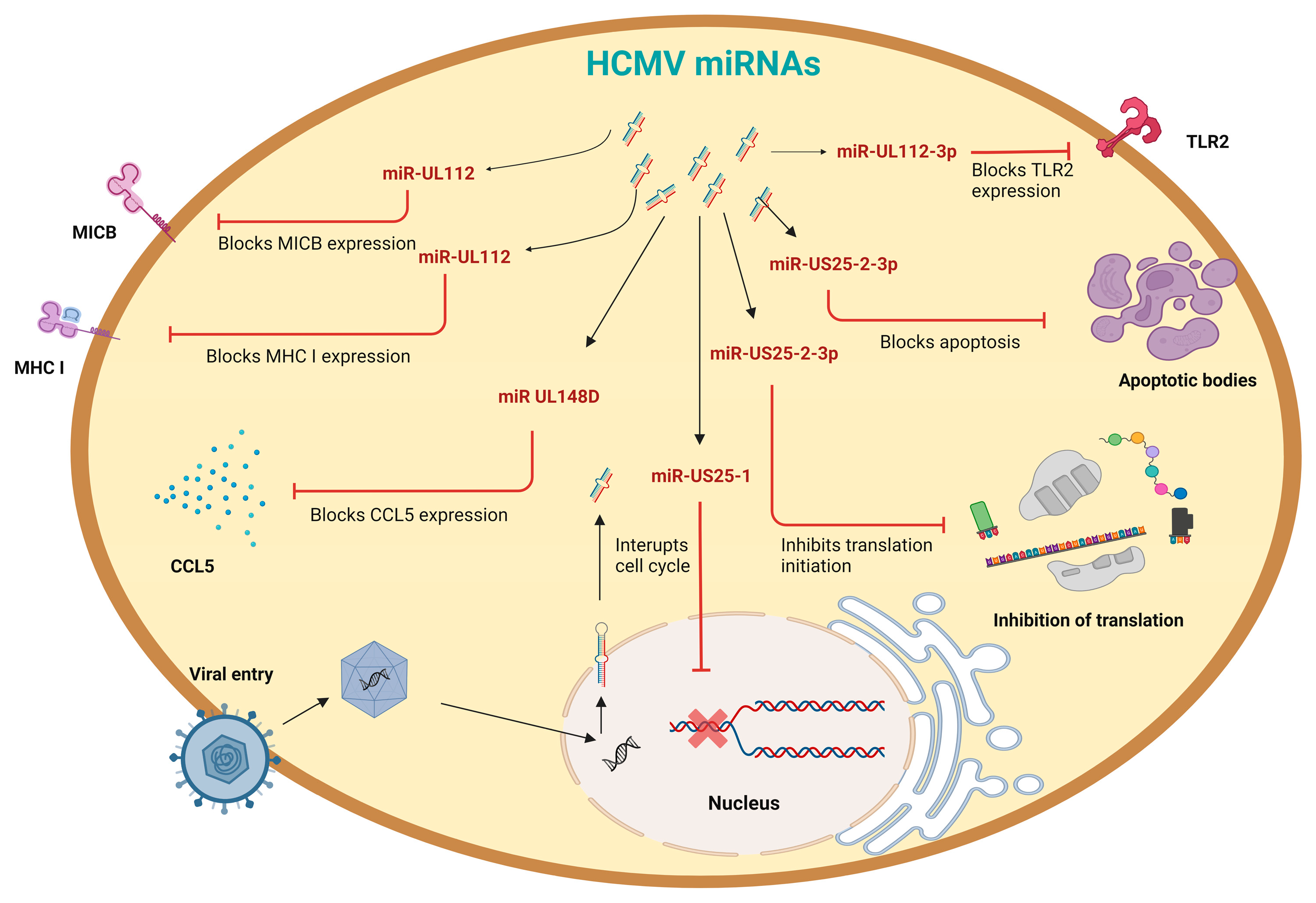 Viruses 15 00429 g003 Viruses 15 00429 g003