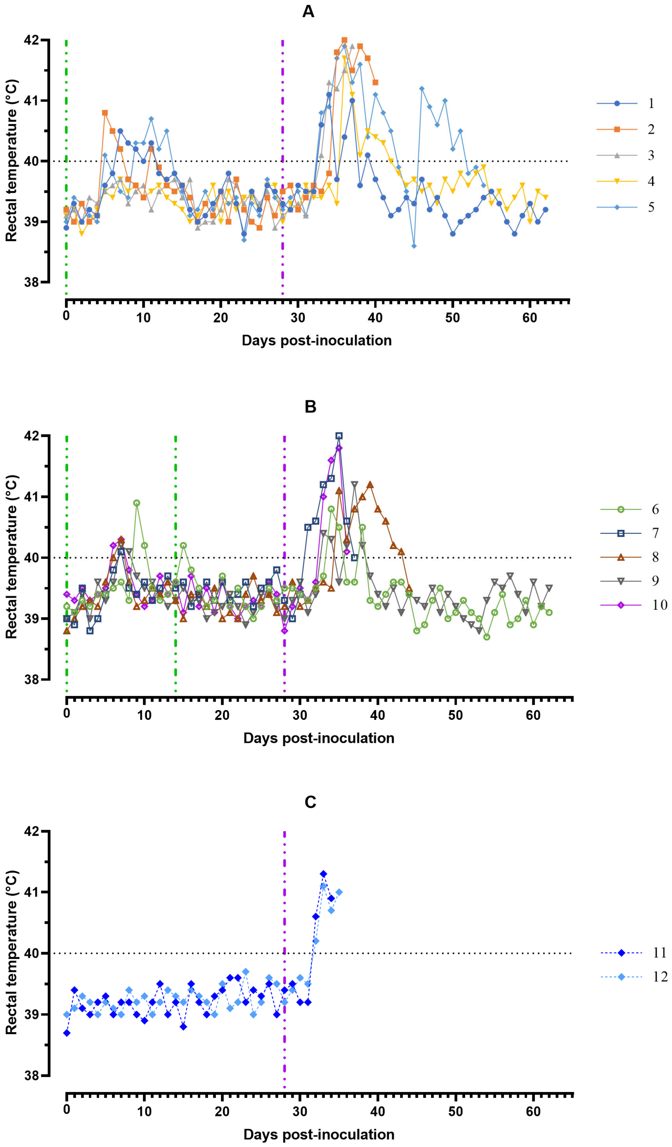Viruses 15 00430 g001 550