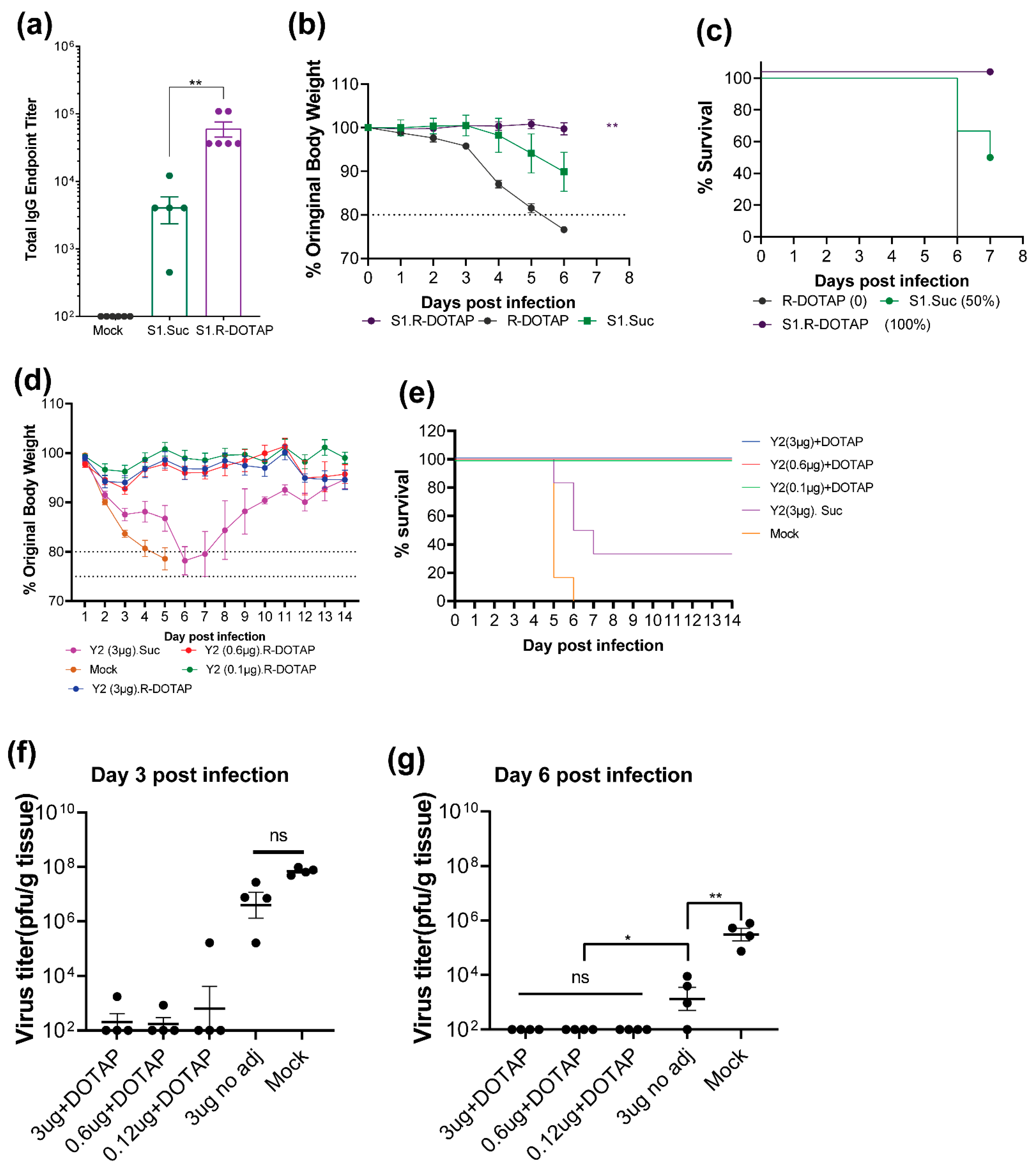 Viruses 15 00432 g007