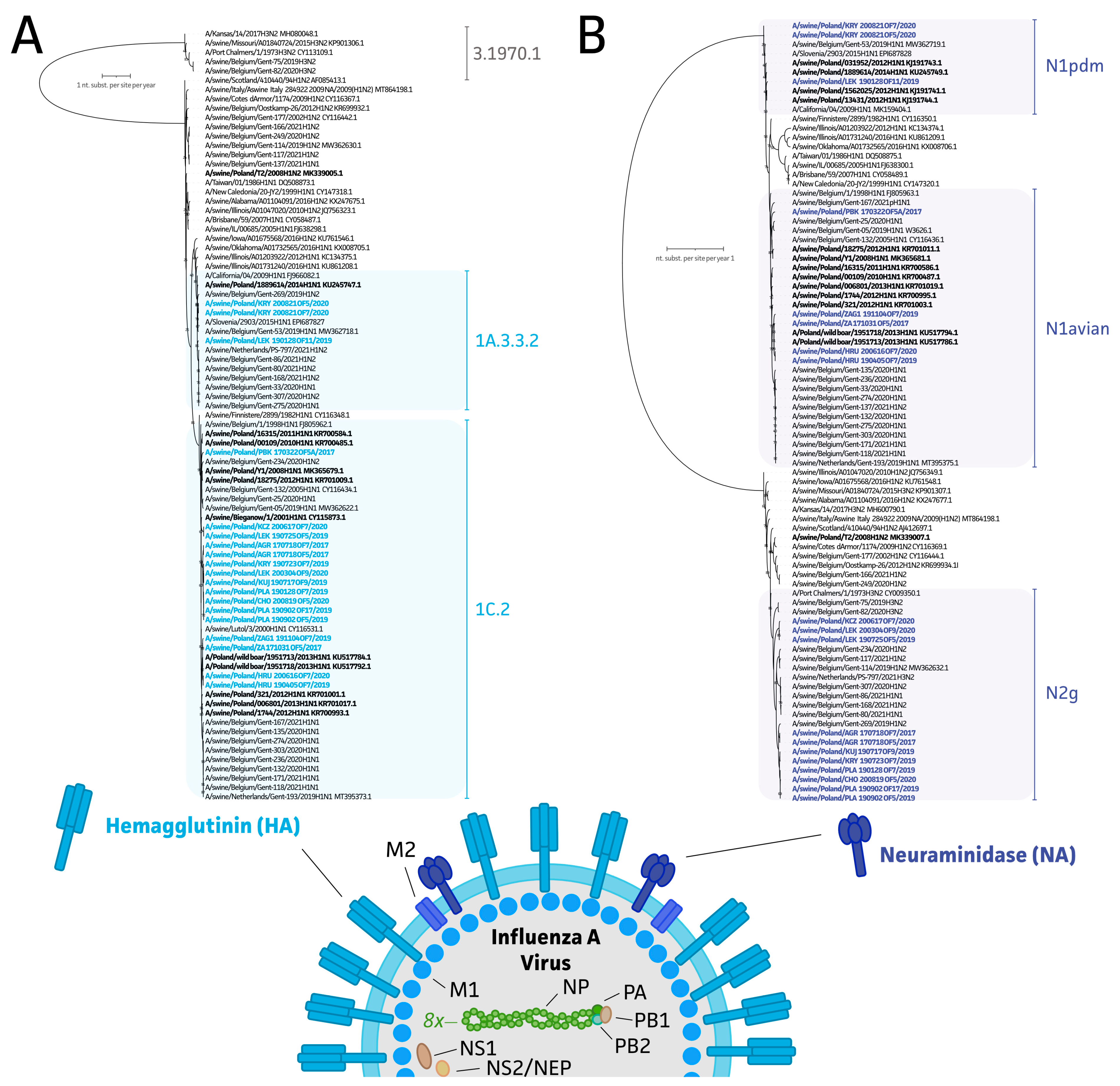 Viruses 15 00435 g003 Viruses 15 00435 g003