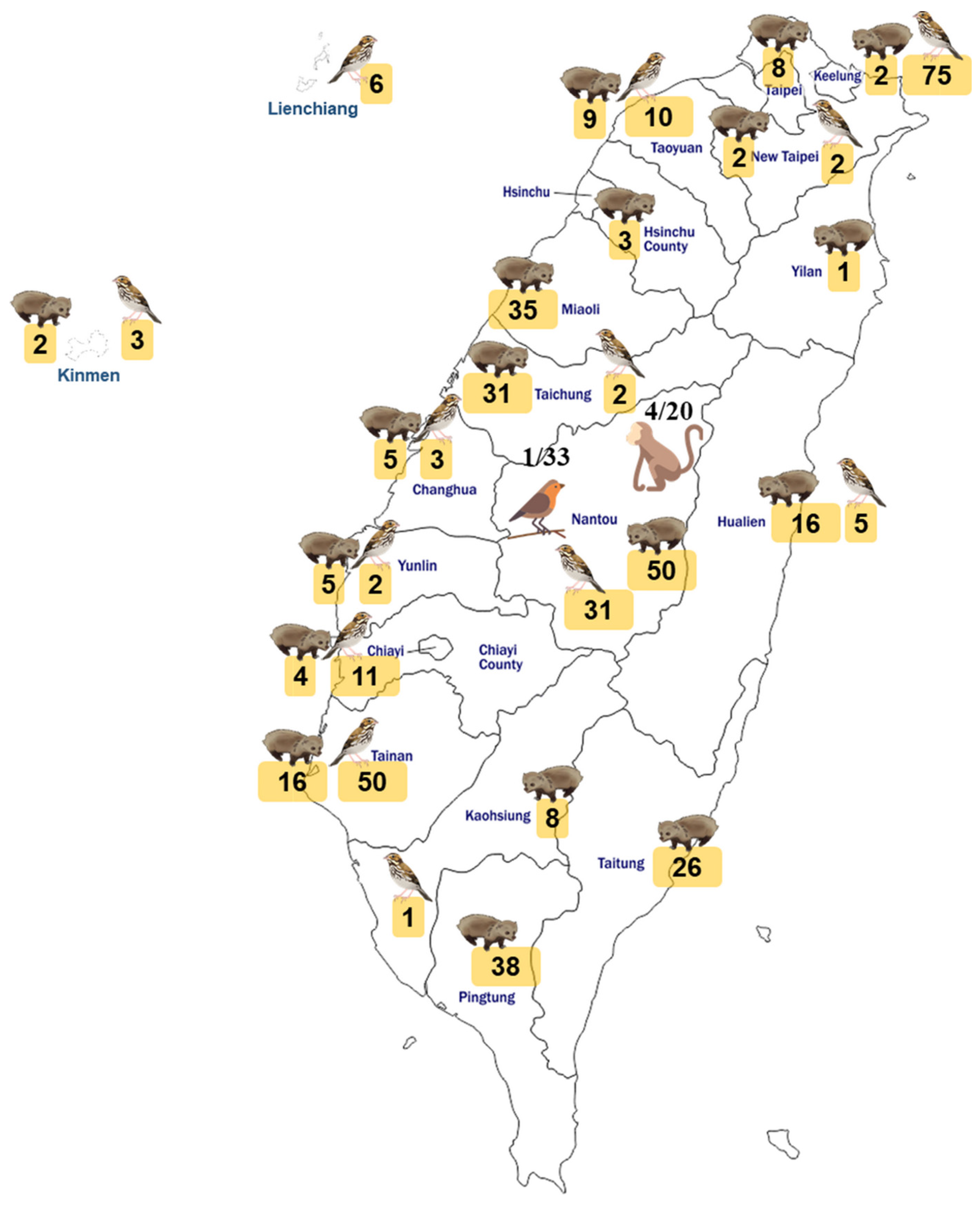 Viruses 15 00441 g003