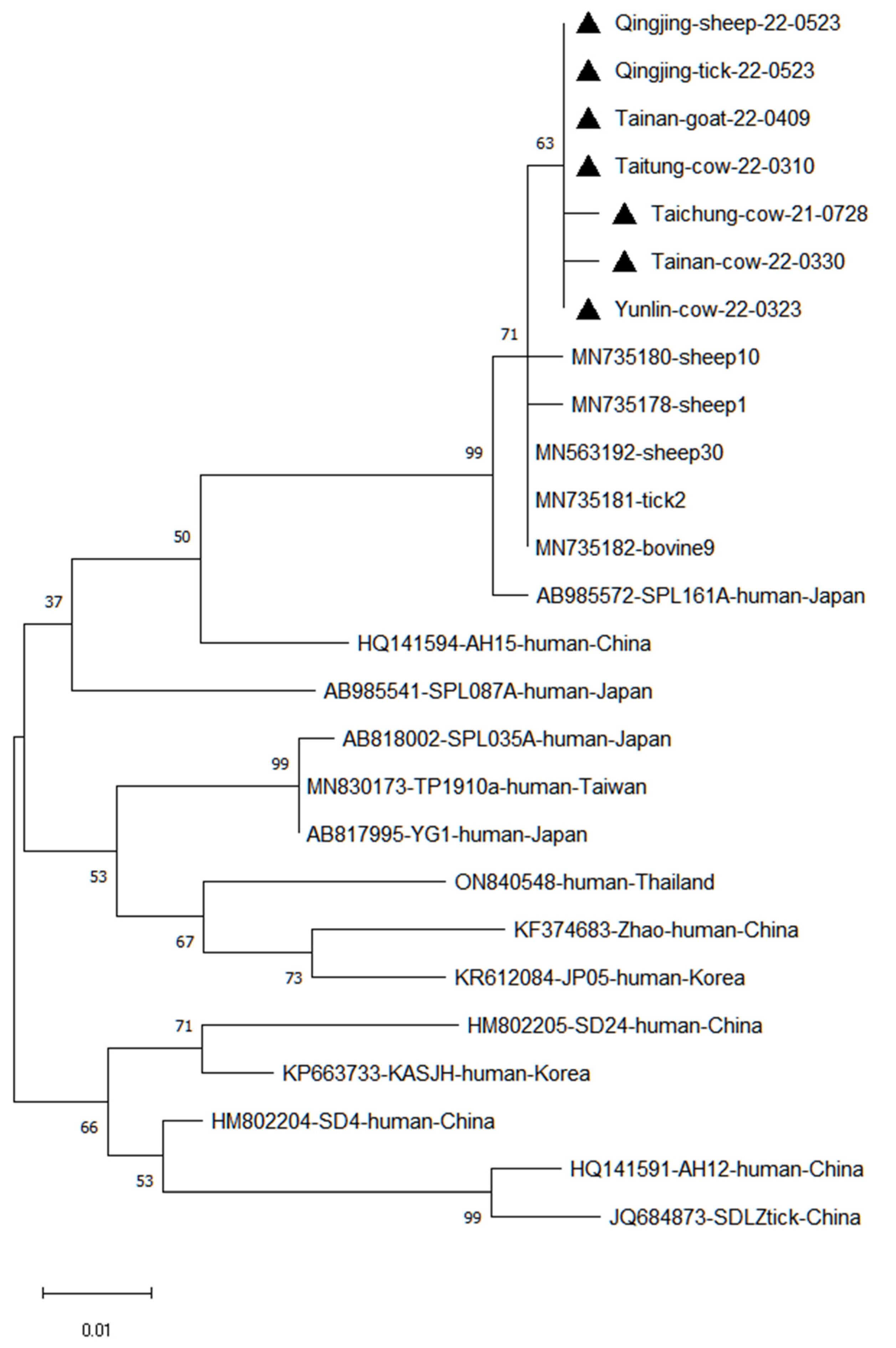 Viruses 15 00441 g004