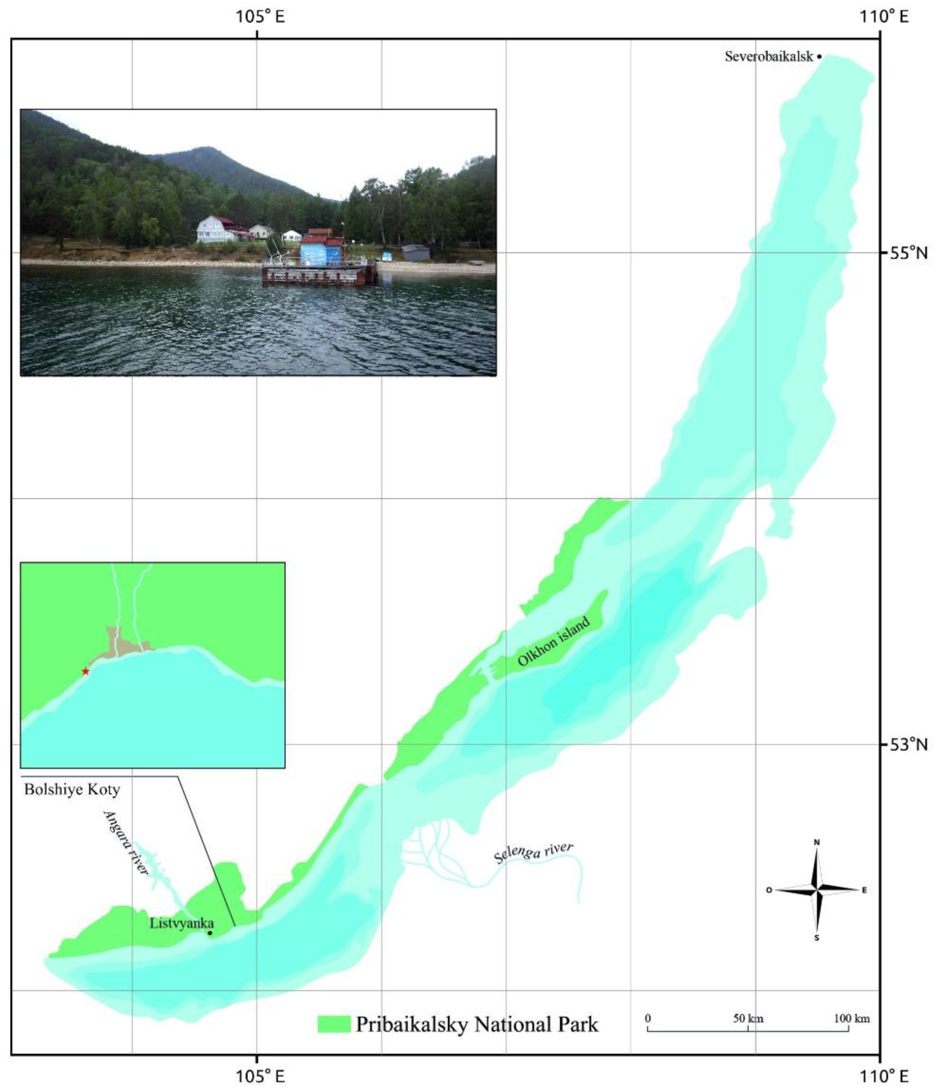 Viruses 15 00442 g001 Viruses 15 00442 g001