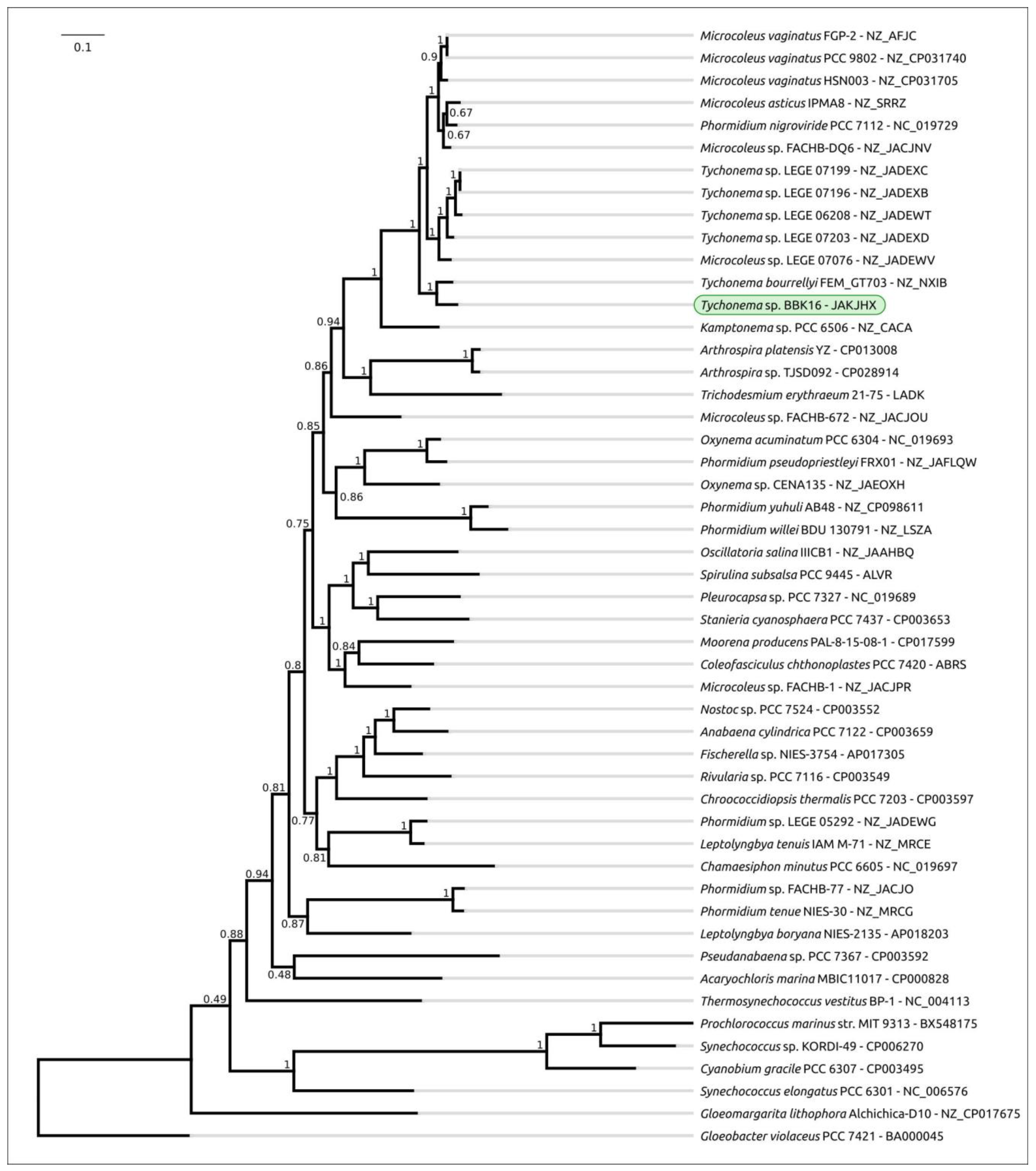 Viruses 15 00442 g004 Viruses 15 00442 g004