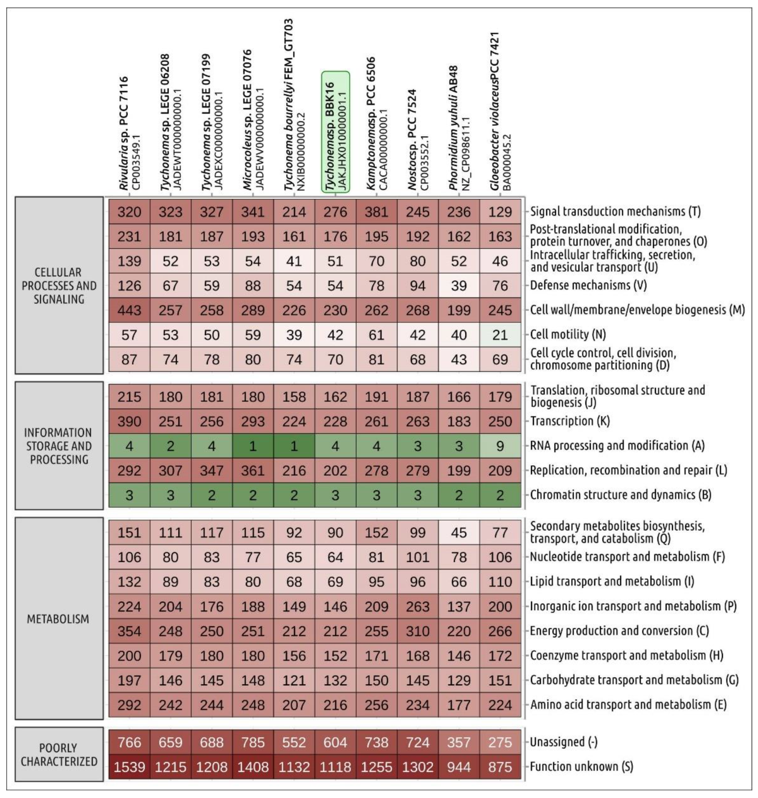 Viruses 15 00442 g005 Viruses 15 00442 g005