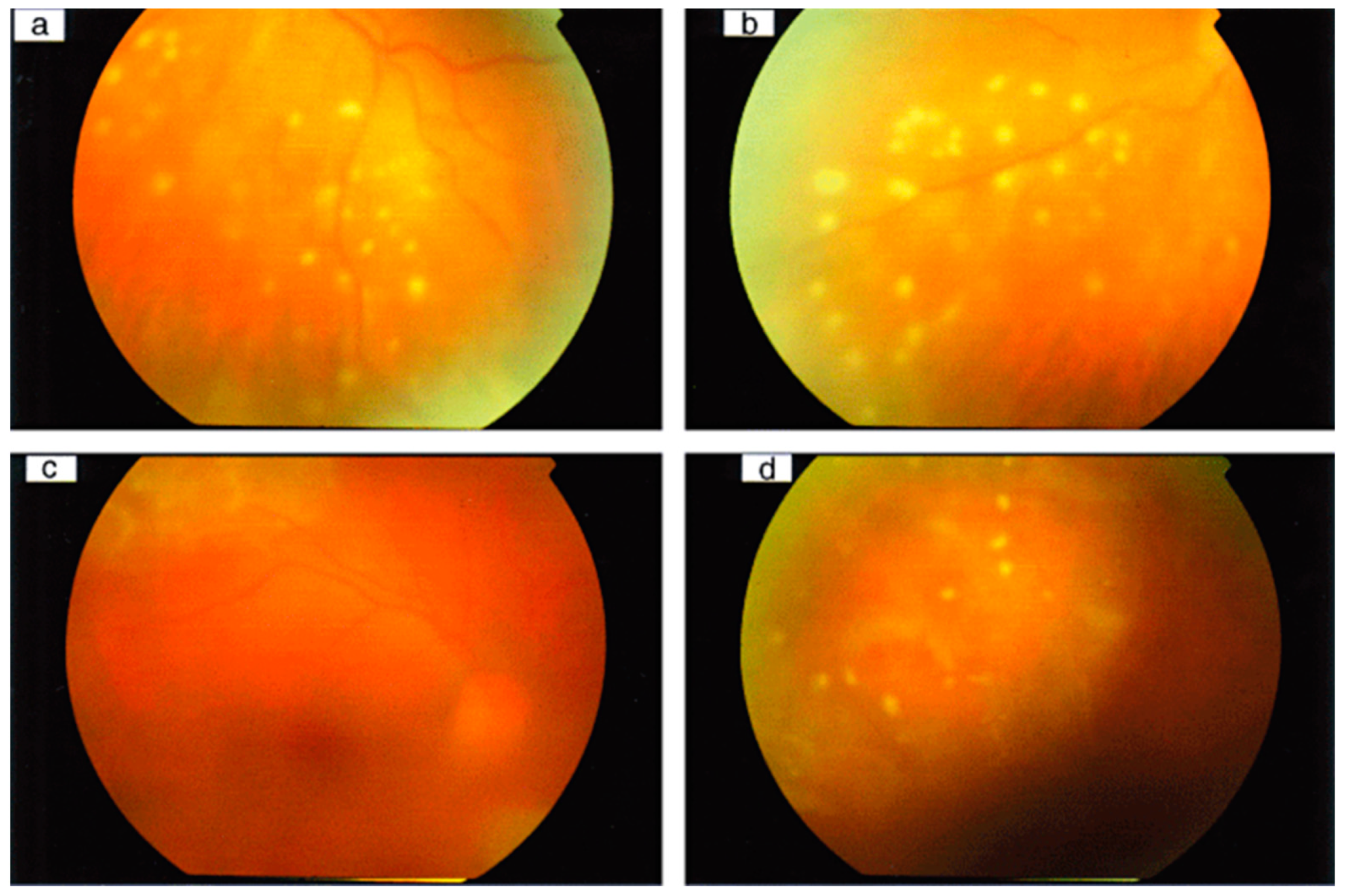 Viruses 15 00444 g001 Viruses 15 00444 g001