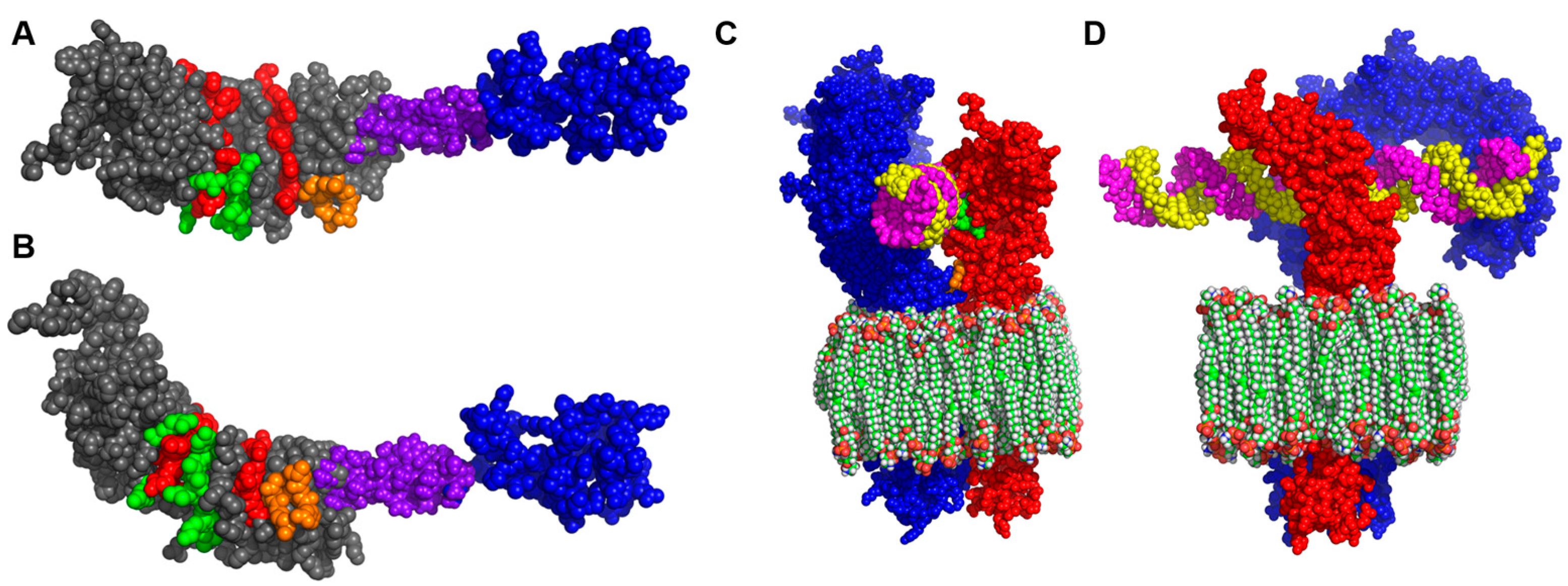 Viruses 15 00445 g002 Viruses 15 00445 g002