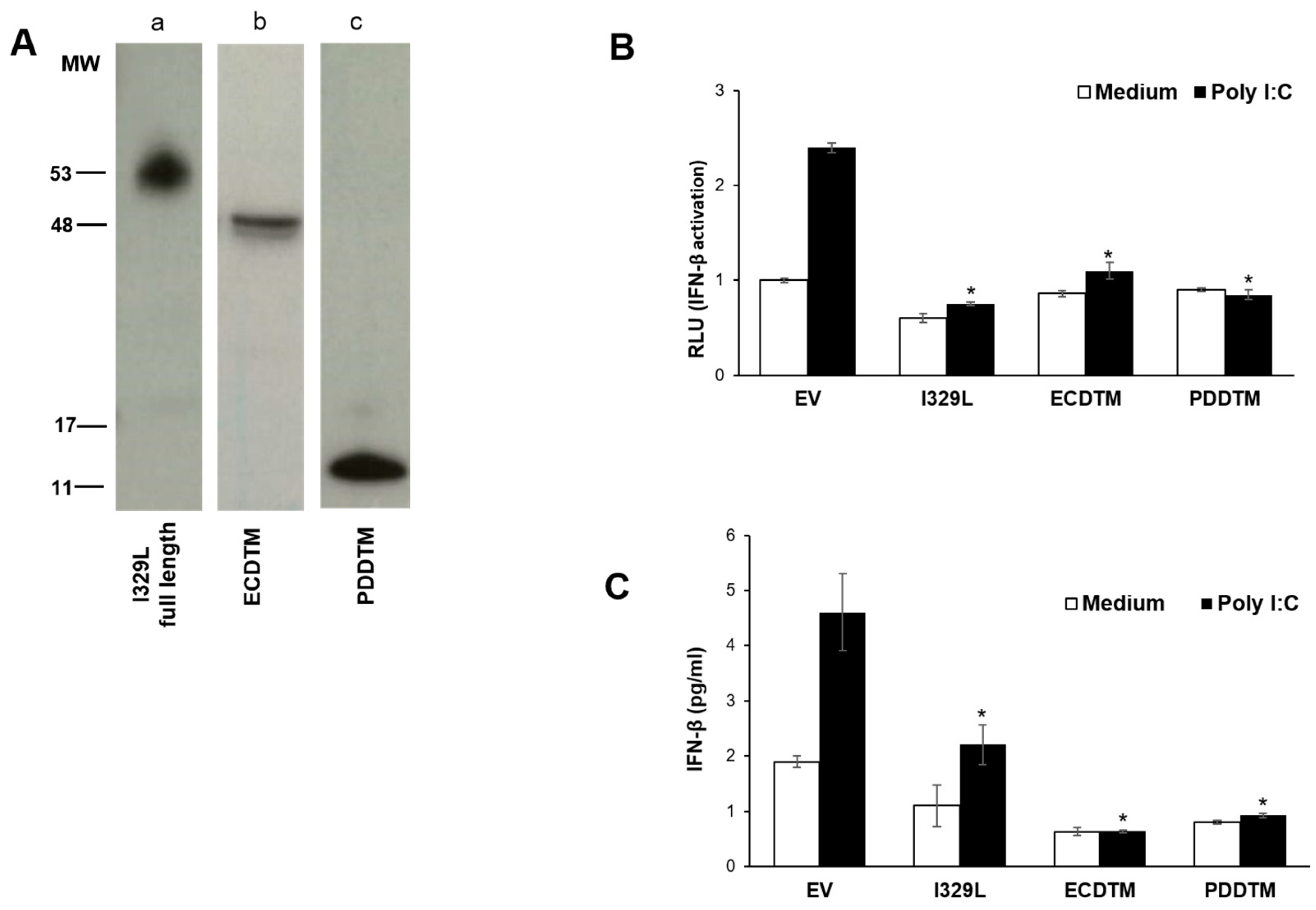 Viruses 15 00445 g003 Viruses 15 00445 g003