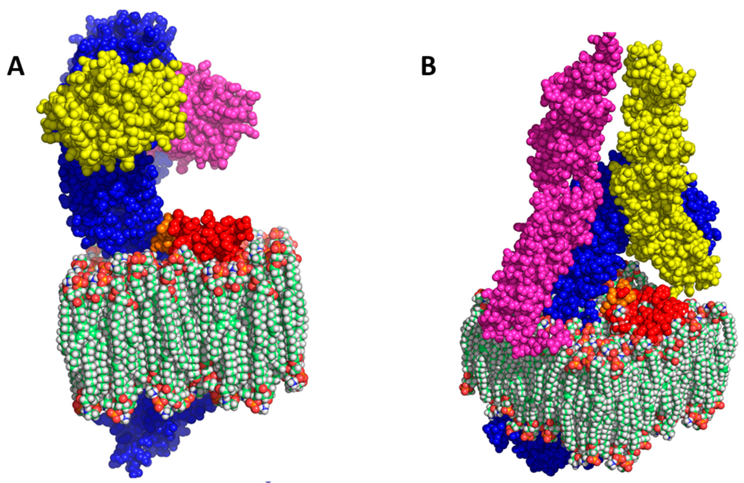 Viruses 15 00445 g004 Viruses 15 00445 g004