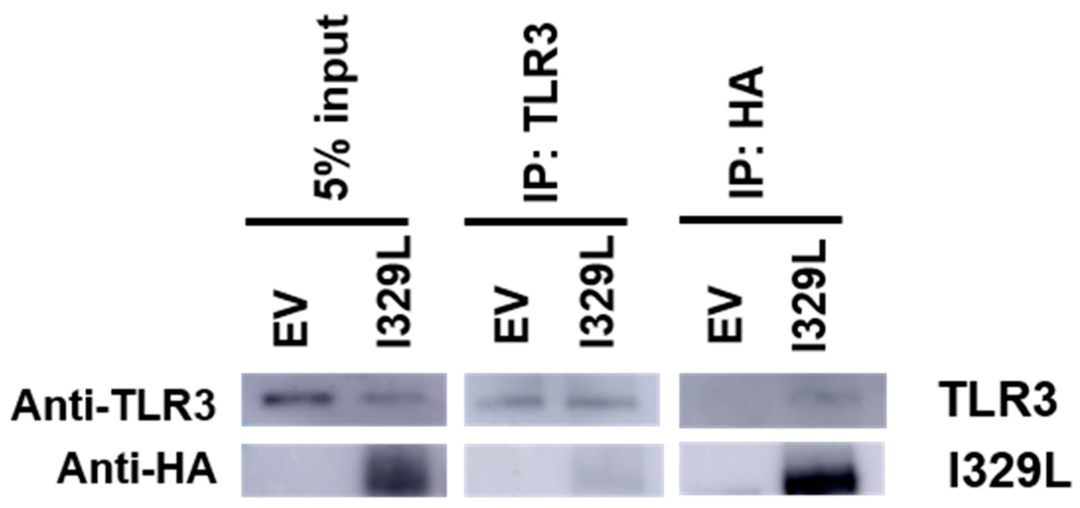Viruses 15 00445 g006 Viruses 15 00445 g006