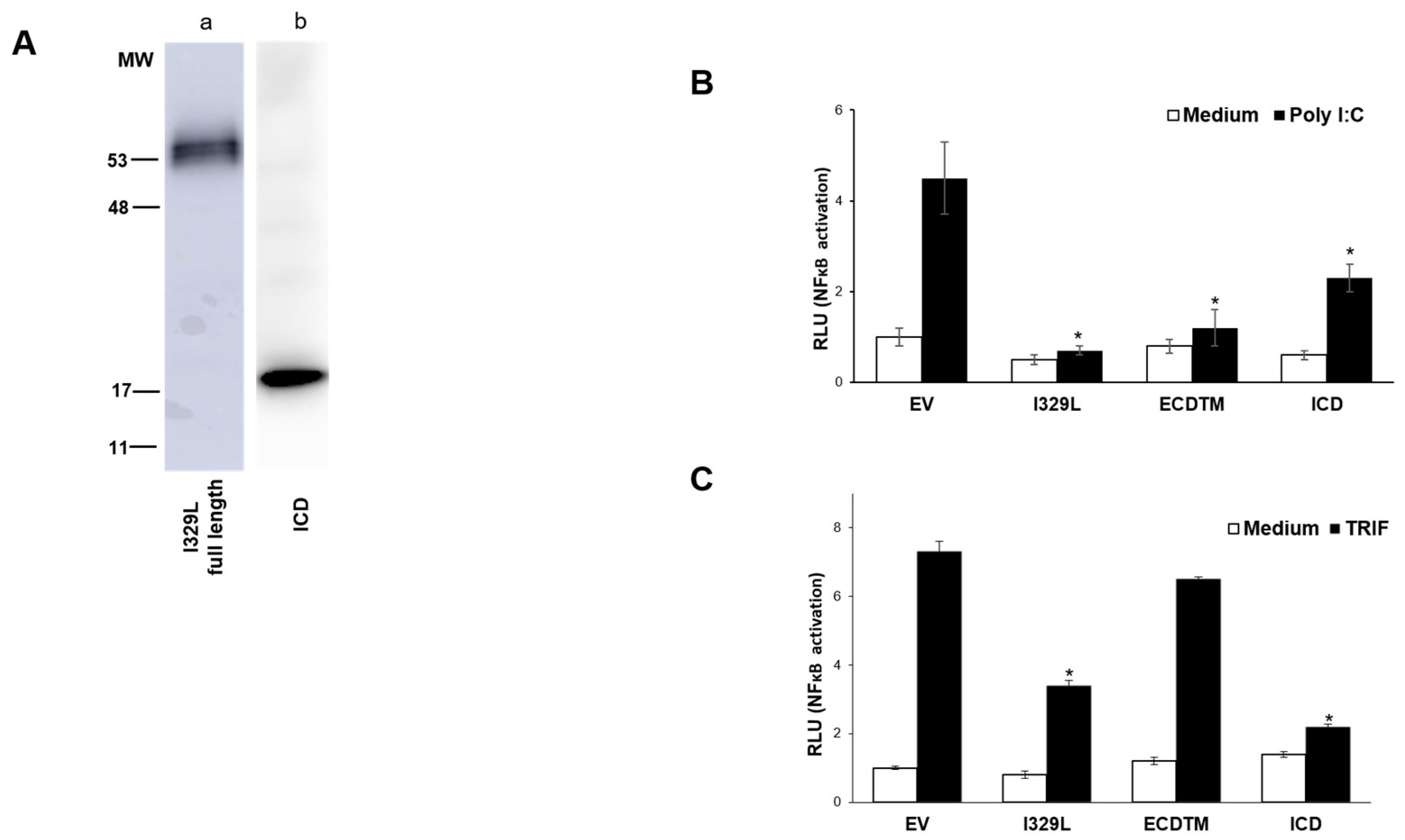 Viruses 15 00445 g007 Viruses 15 00445 g007