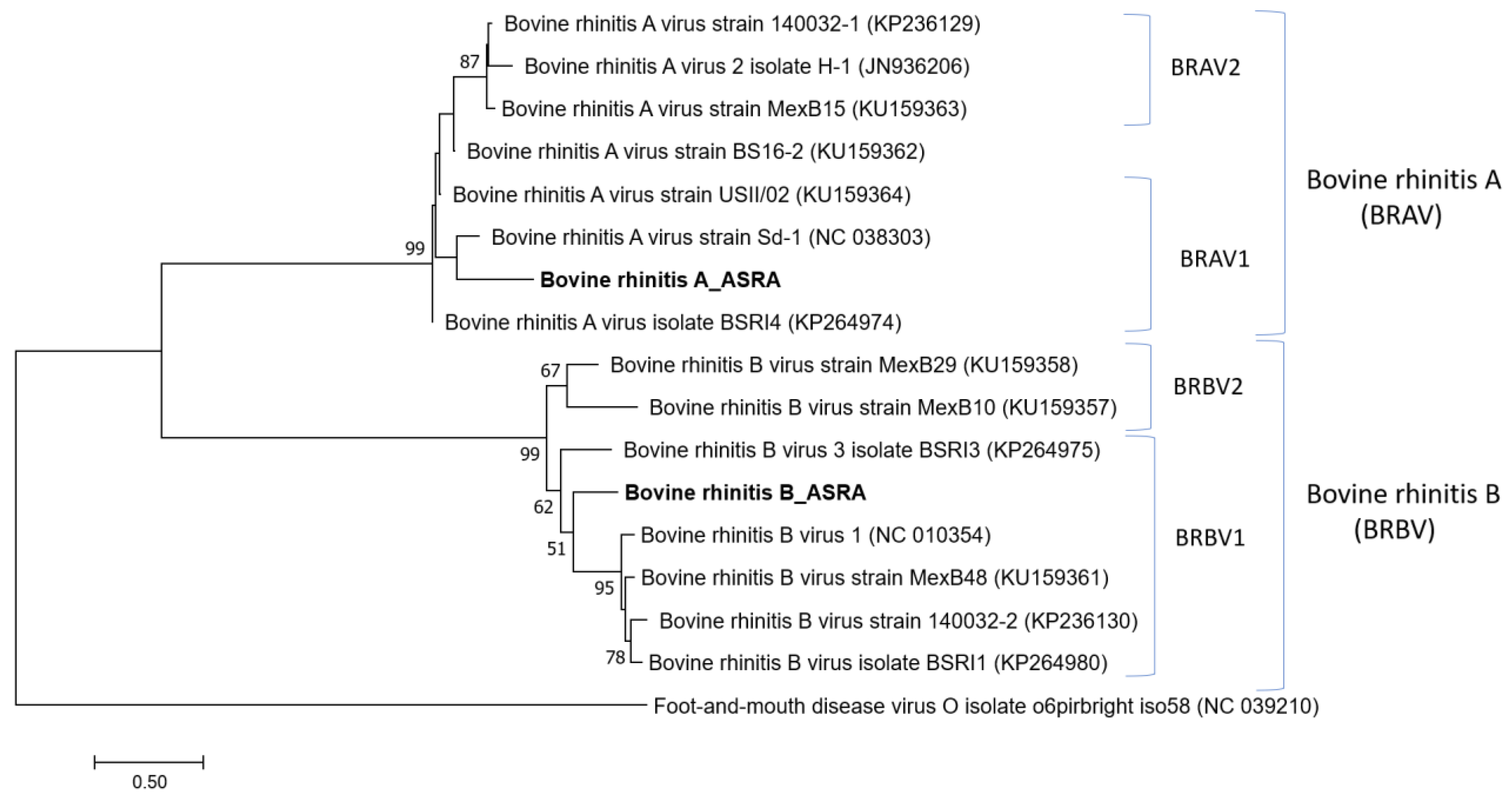 Viruses 15 00455 g005