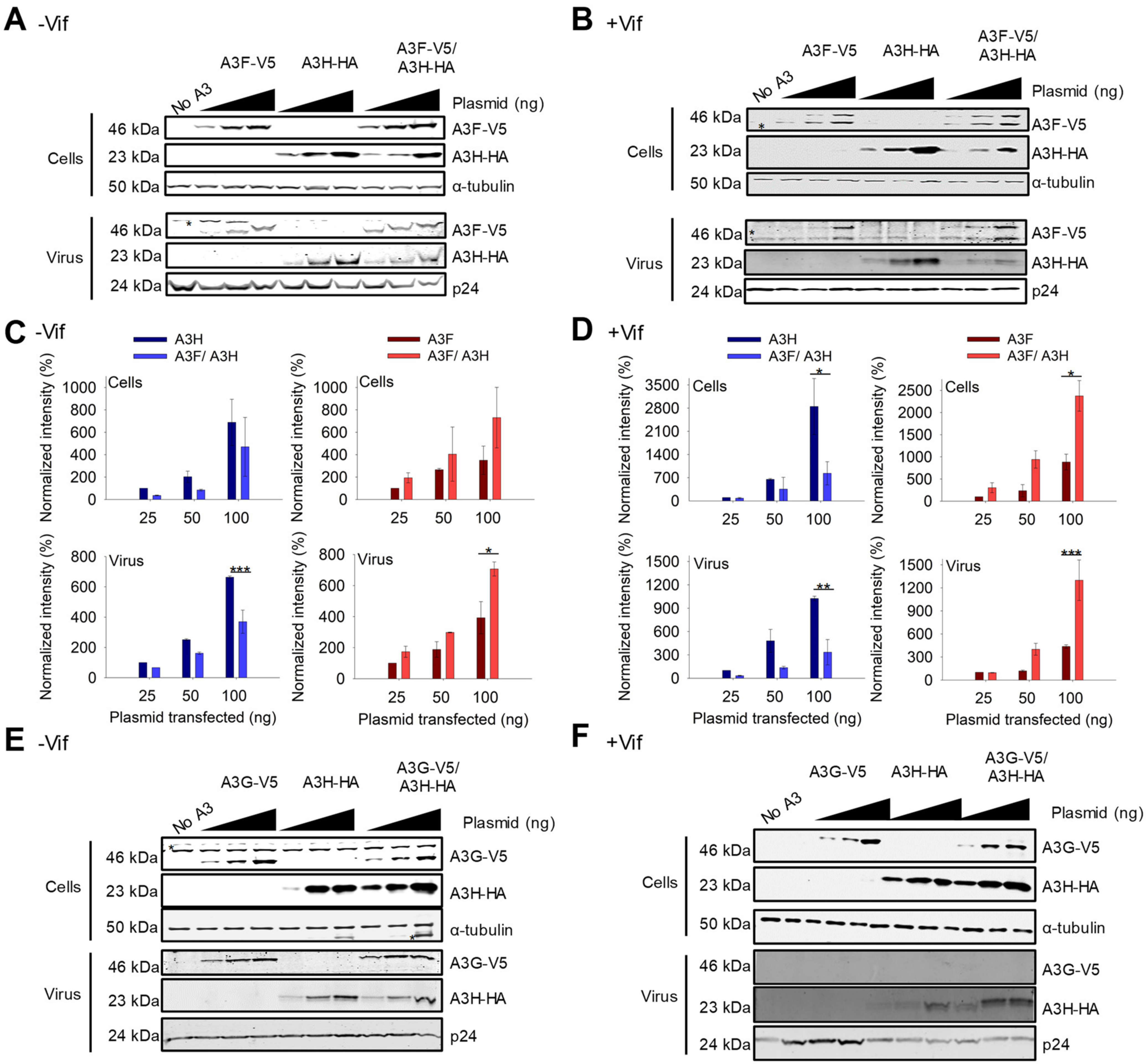 Viruses 15 00463 g002 Viruses 15 00463 g002