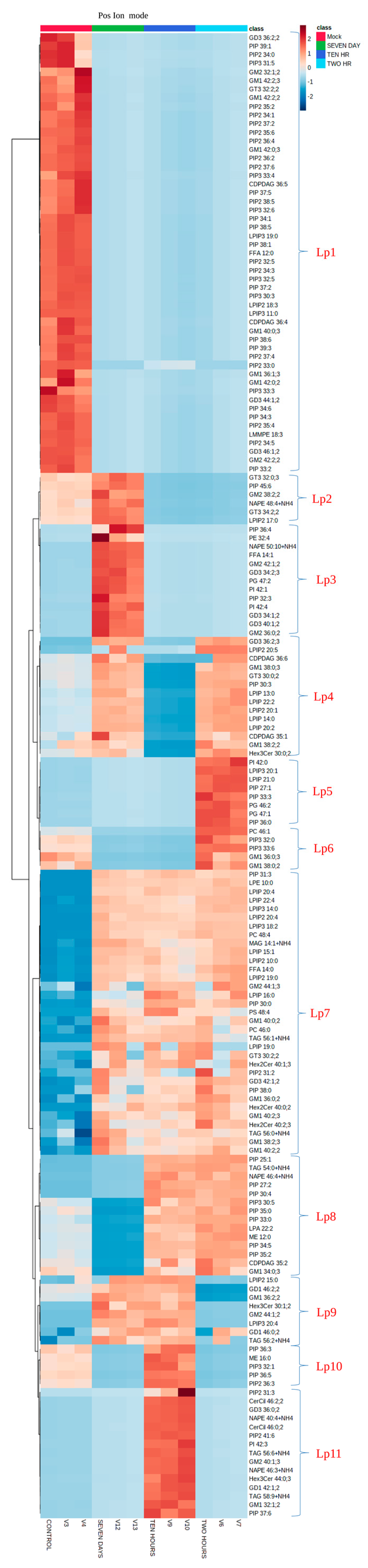 Viruses 15 00464 g005 Viruses 15 00464 g005