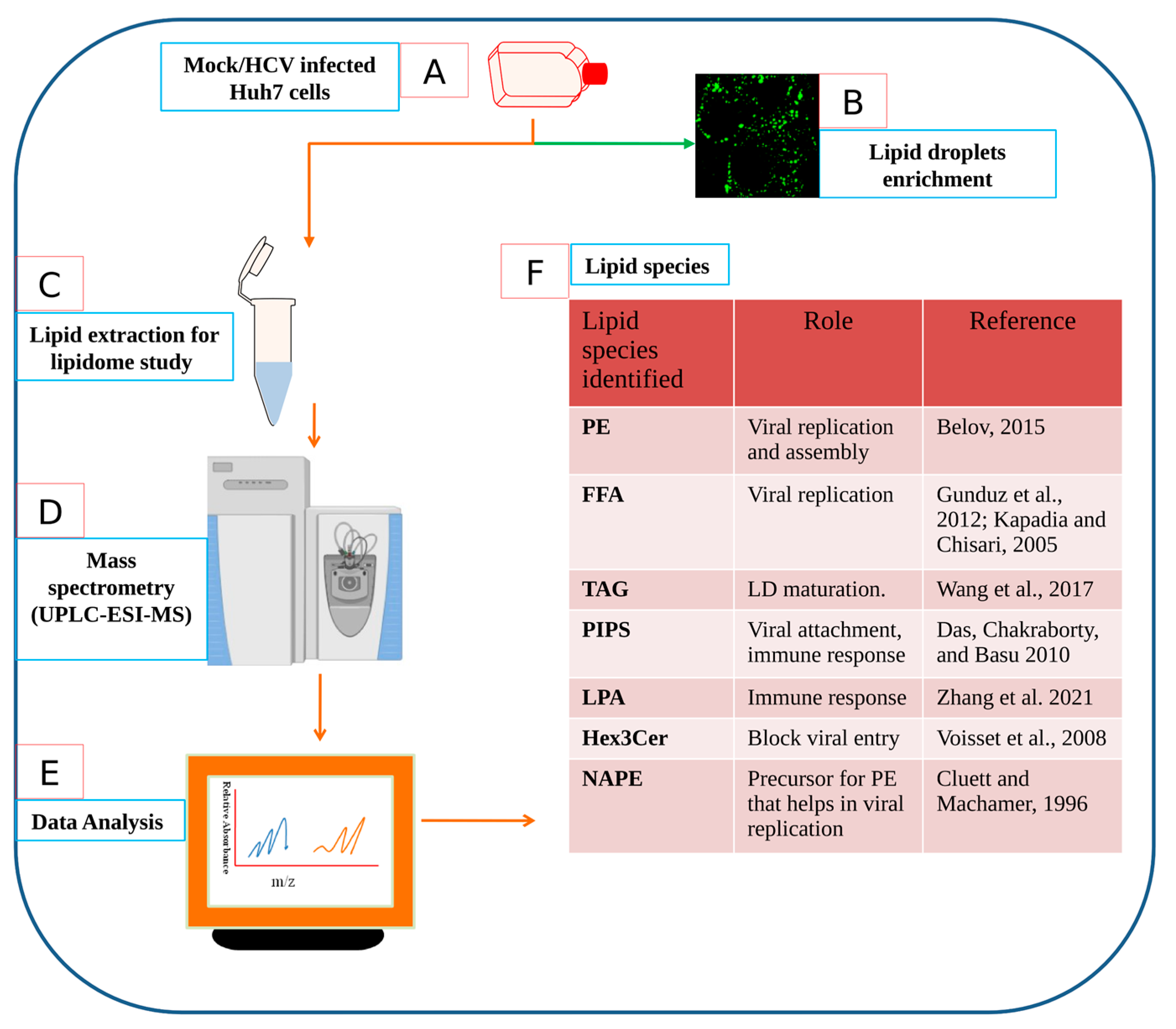 Viruses 15 00464 g007 Viruses 15 00464 g007