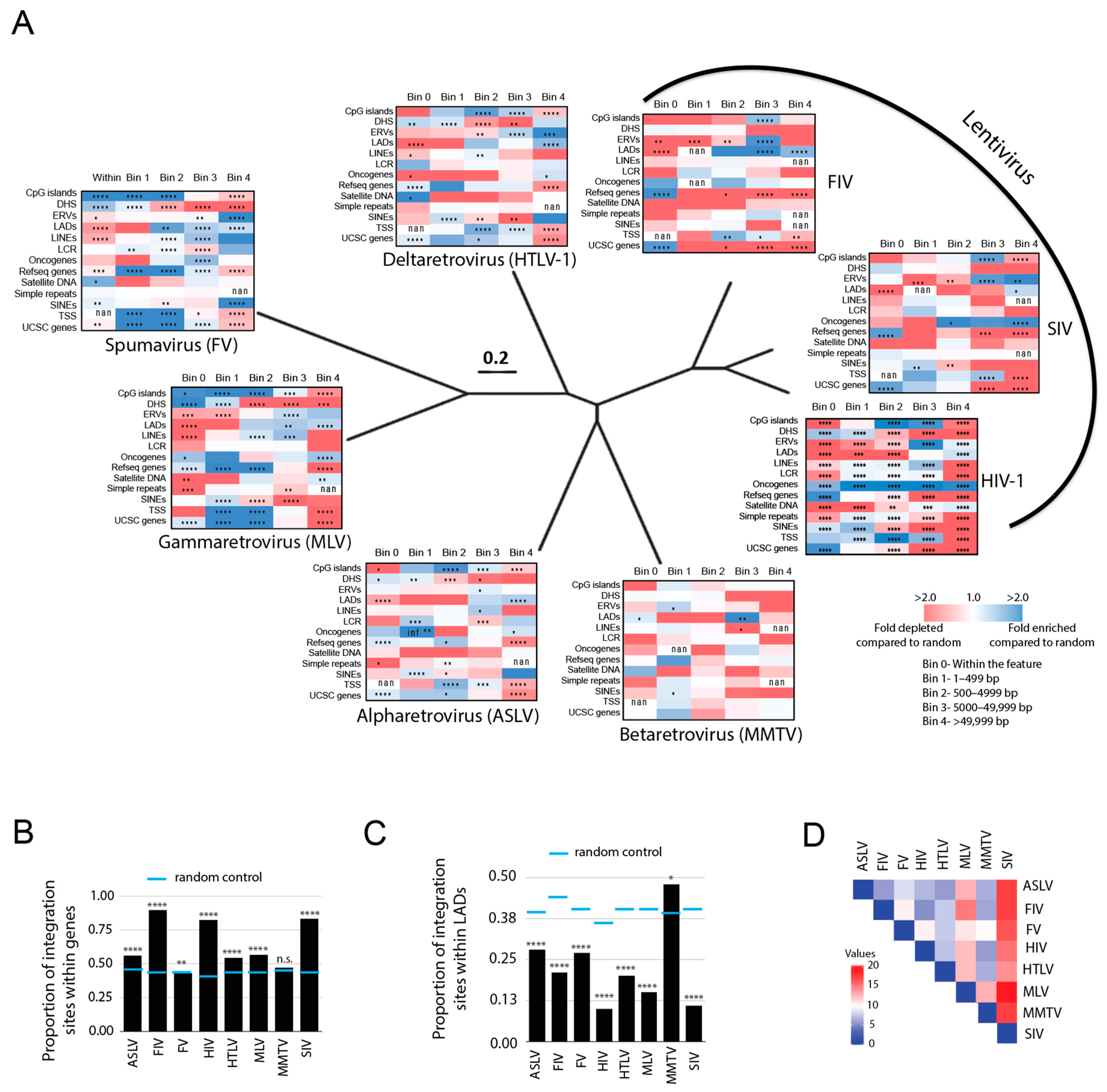 Viruses 15 00465 g001 Viruses 15 00465 g001