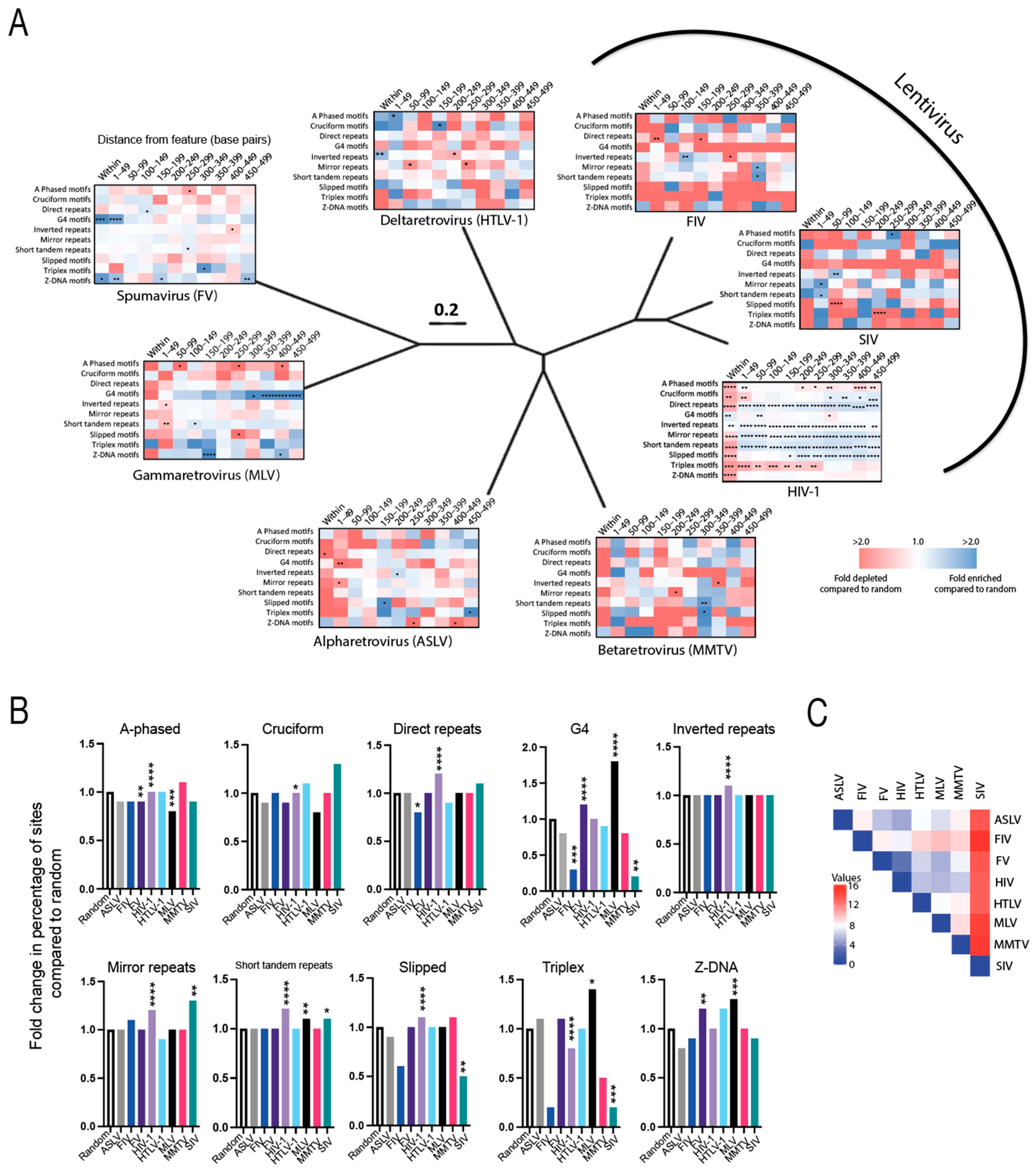 Viruses 15 00465 g002 Viruses 15 00465 g002