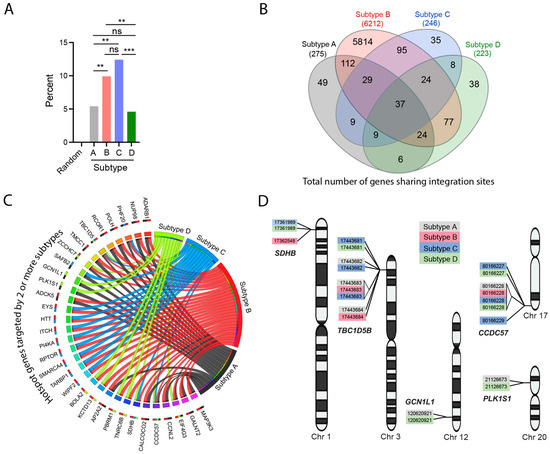 Specialized DNA Structures Act as Genomic Beacons for Integration by ...