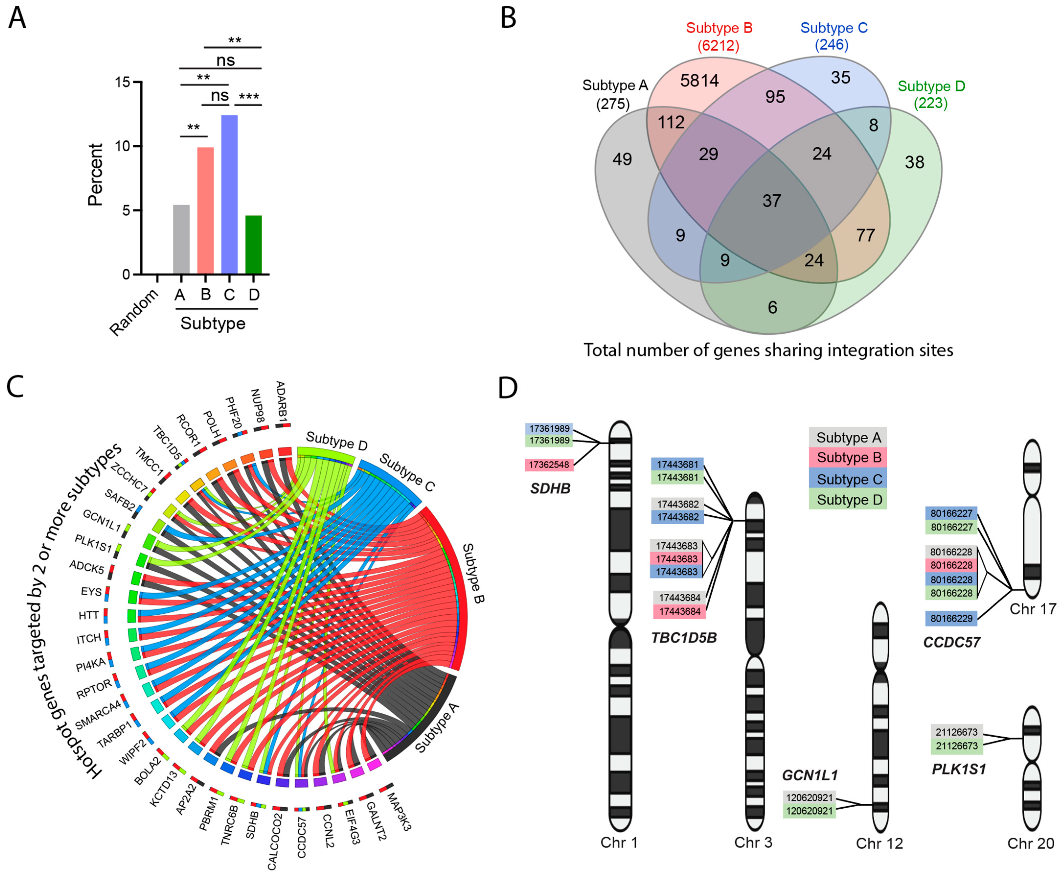 Viruses 15 00465 g006 Viruses 15 00465 g006