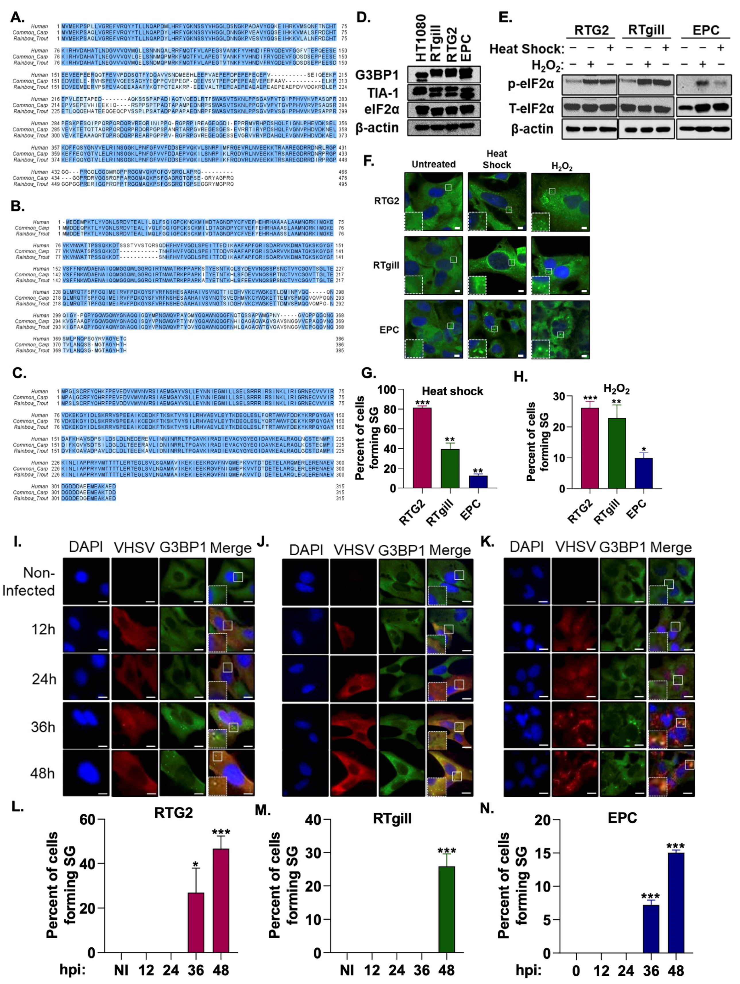 Viruses 15 00466 g001 Viruses 15 00466 g001