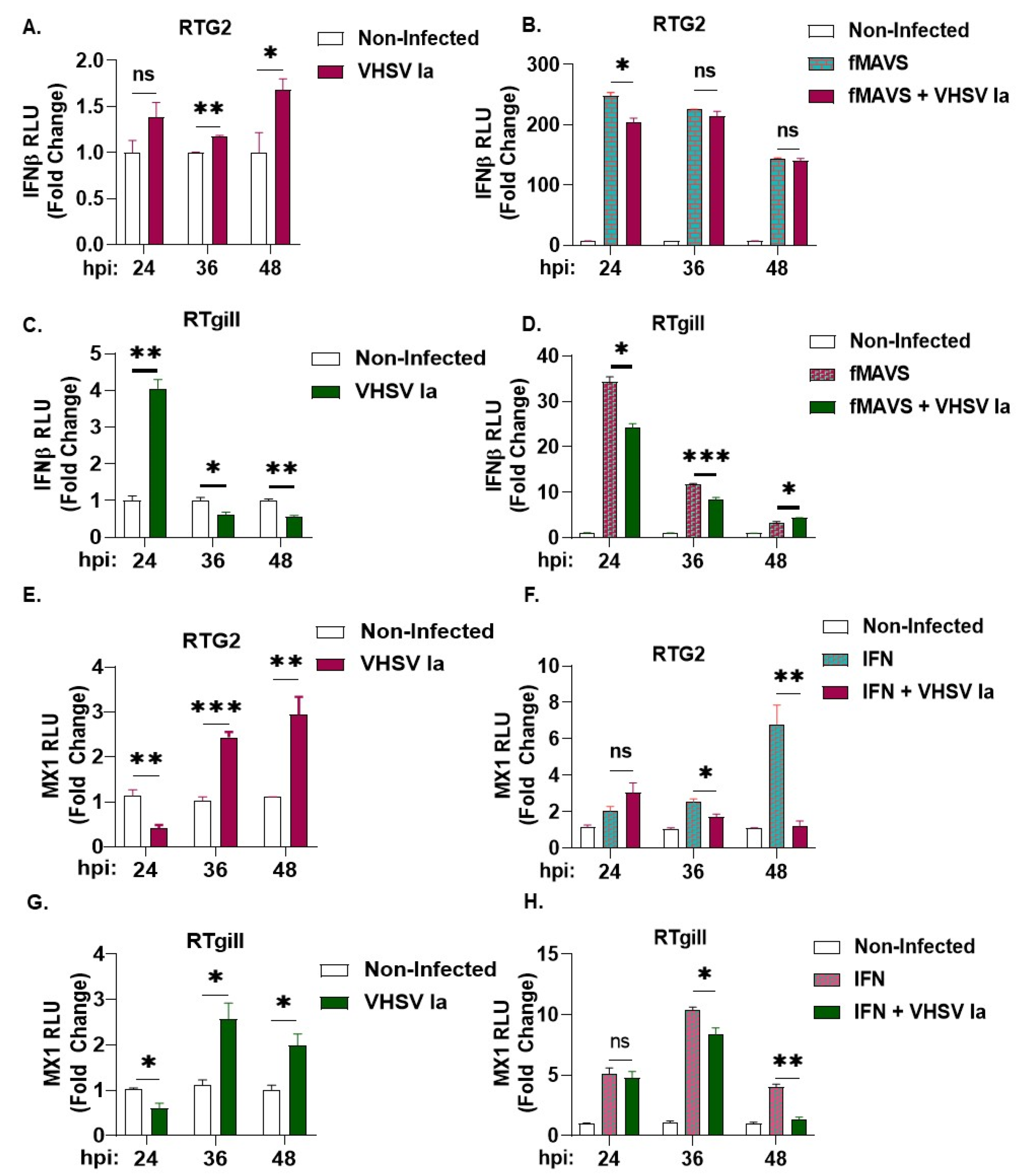 Viruses 15 00466 g003 Viruses 15 00466 g003