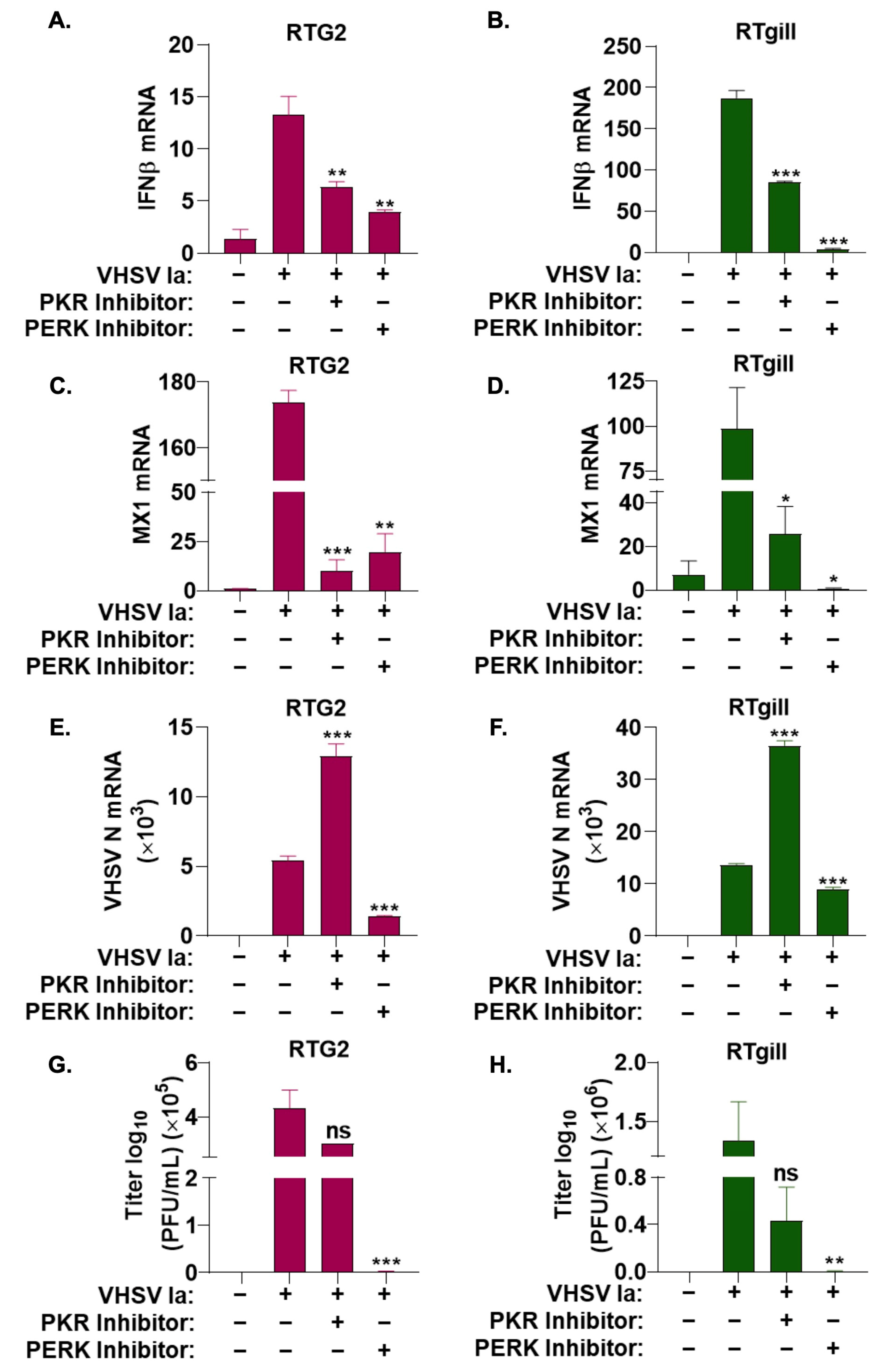 Viruses 15 00466 g004 Viruses 15 00466 g004