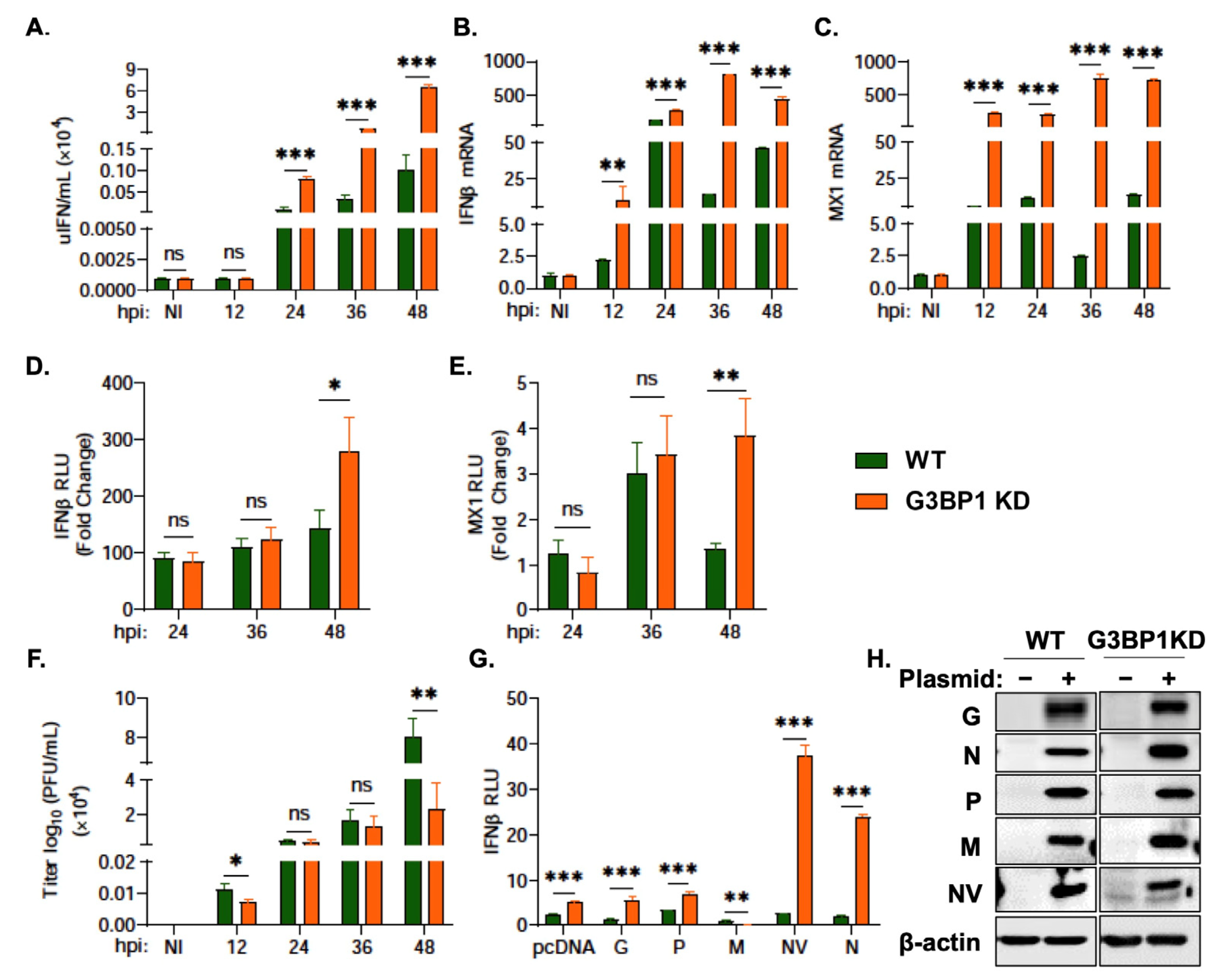 Viruses 15 00466 g006 Viruses 15 00466 g006