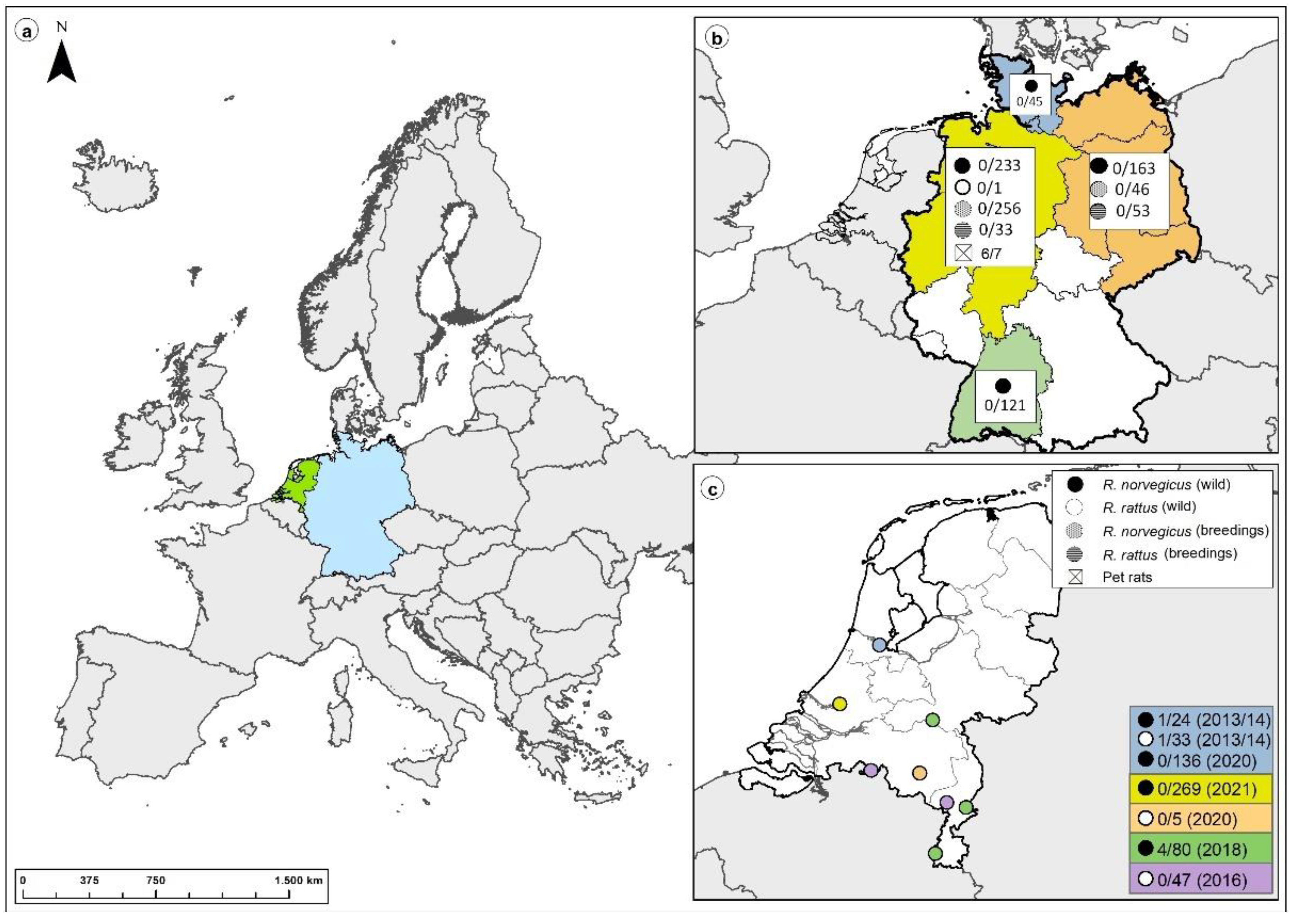 Viruses 15 00467 g001 Viruses 15 00467 g001