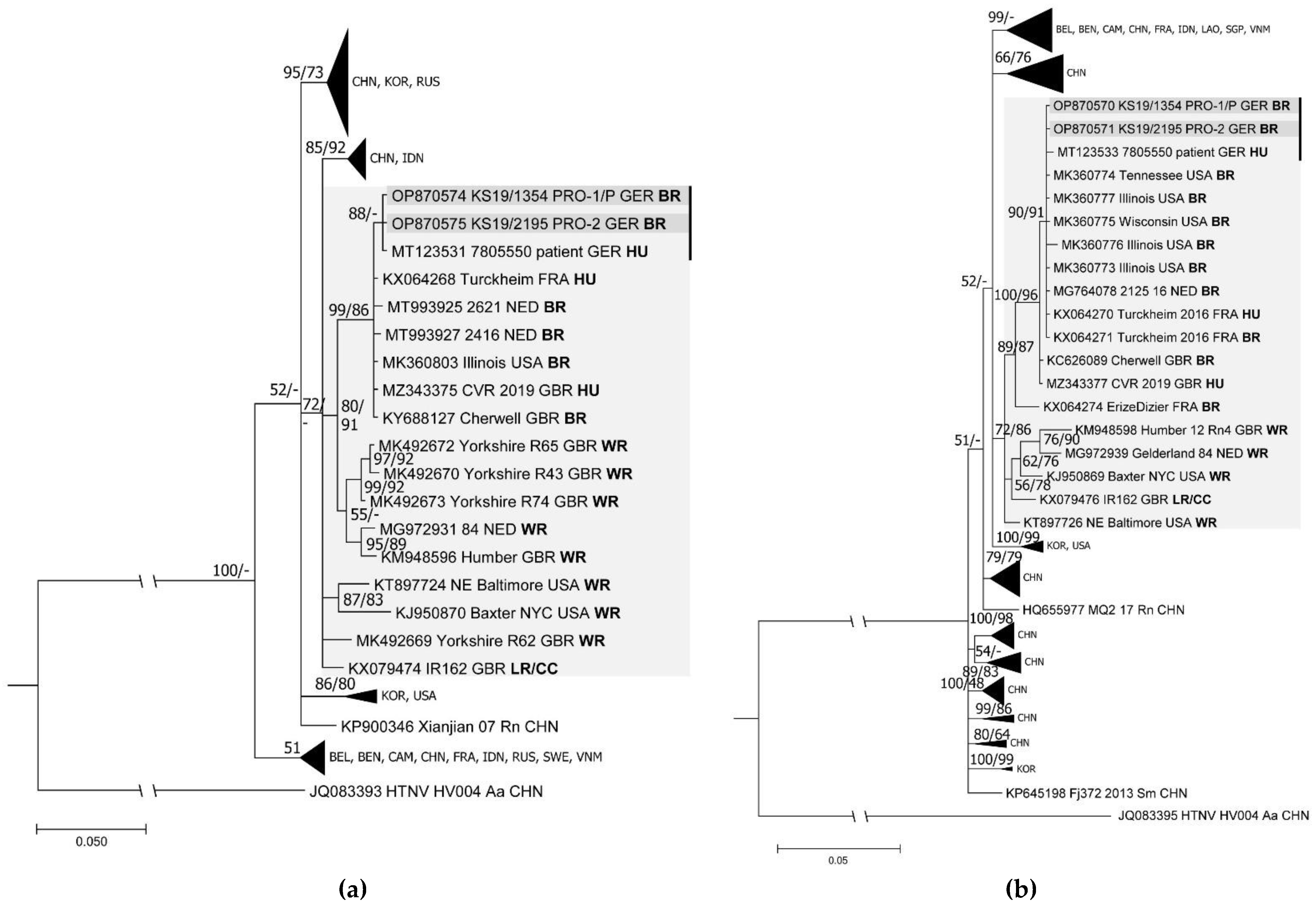 Viruses 15 00467 g002 Viruses 15 00467 g002