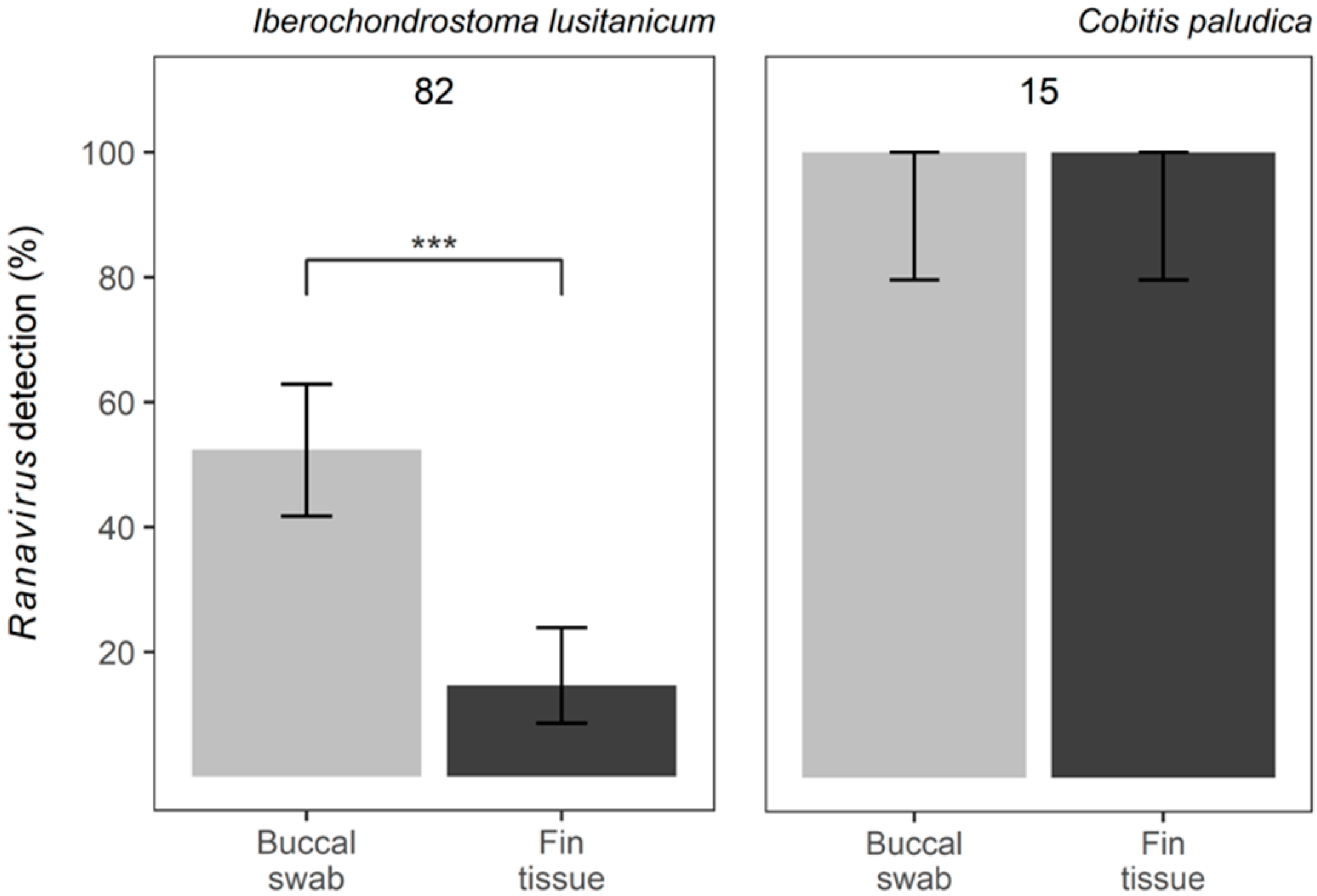 Viruses 15 00471 g002 Viruses 15 00471 g002