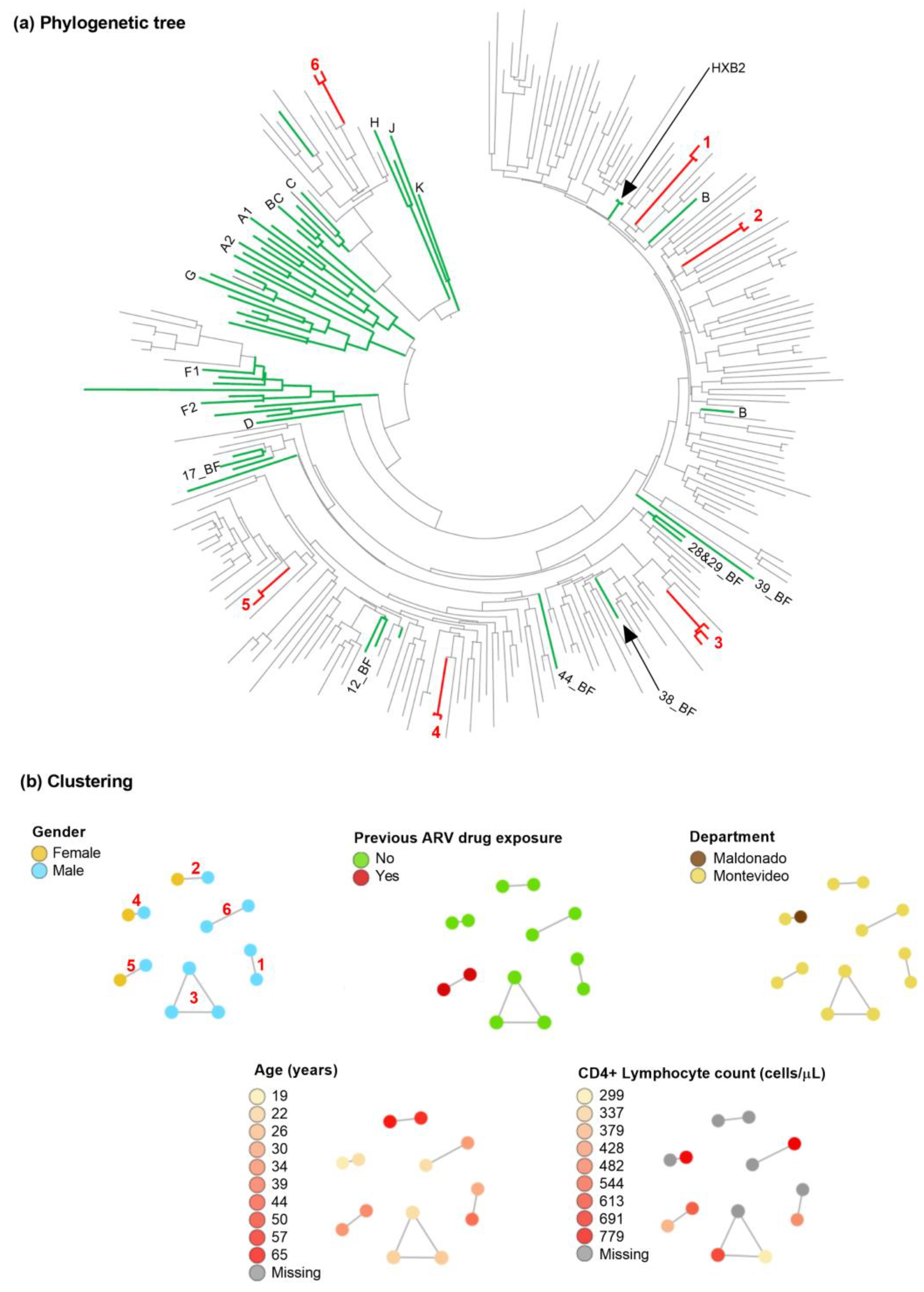 Viruses 15 00490 g001 Viruses 15 00490 g001