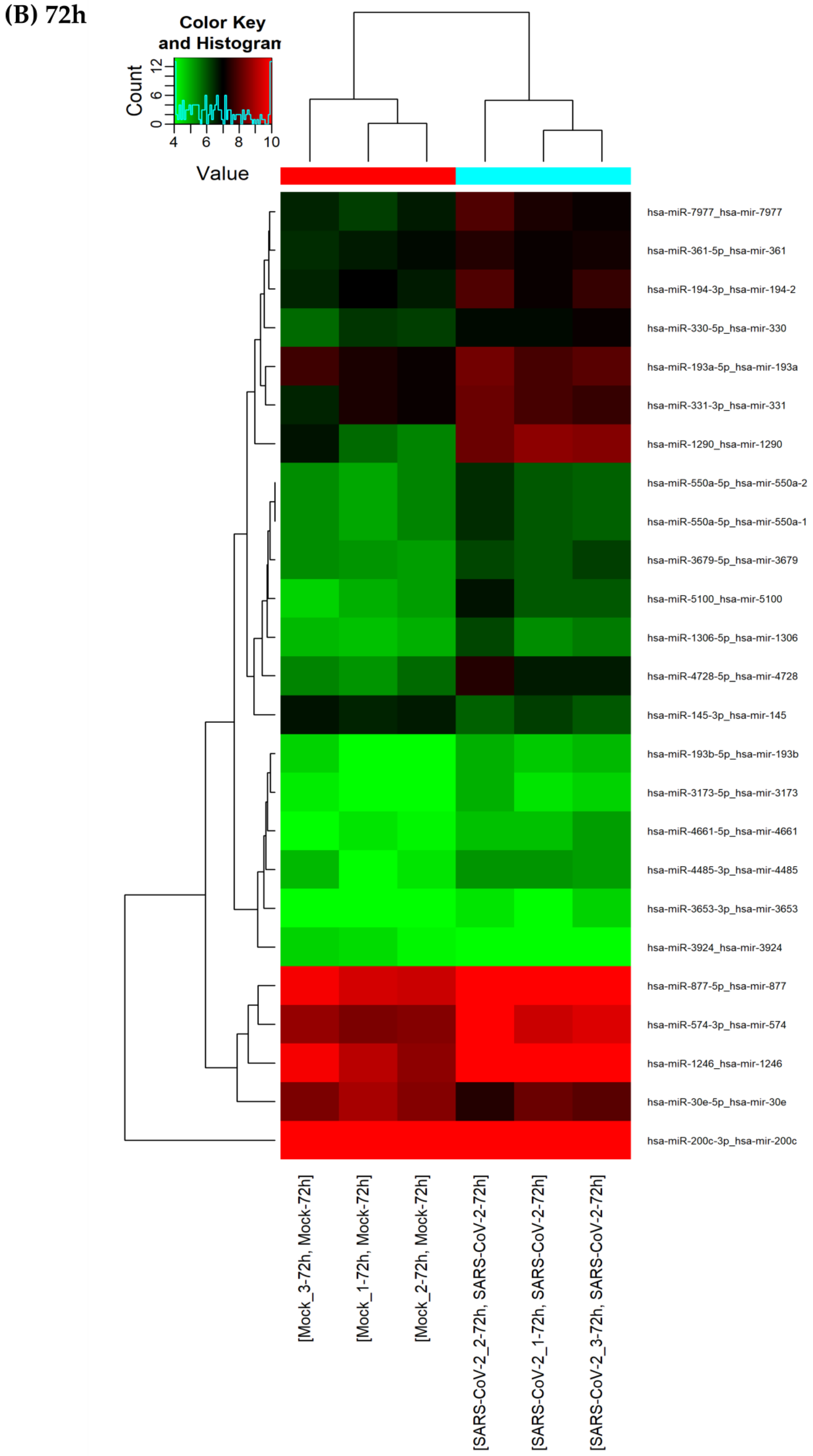 Viruses 15 00496 g005b