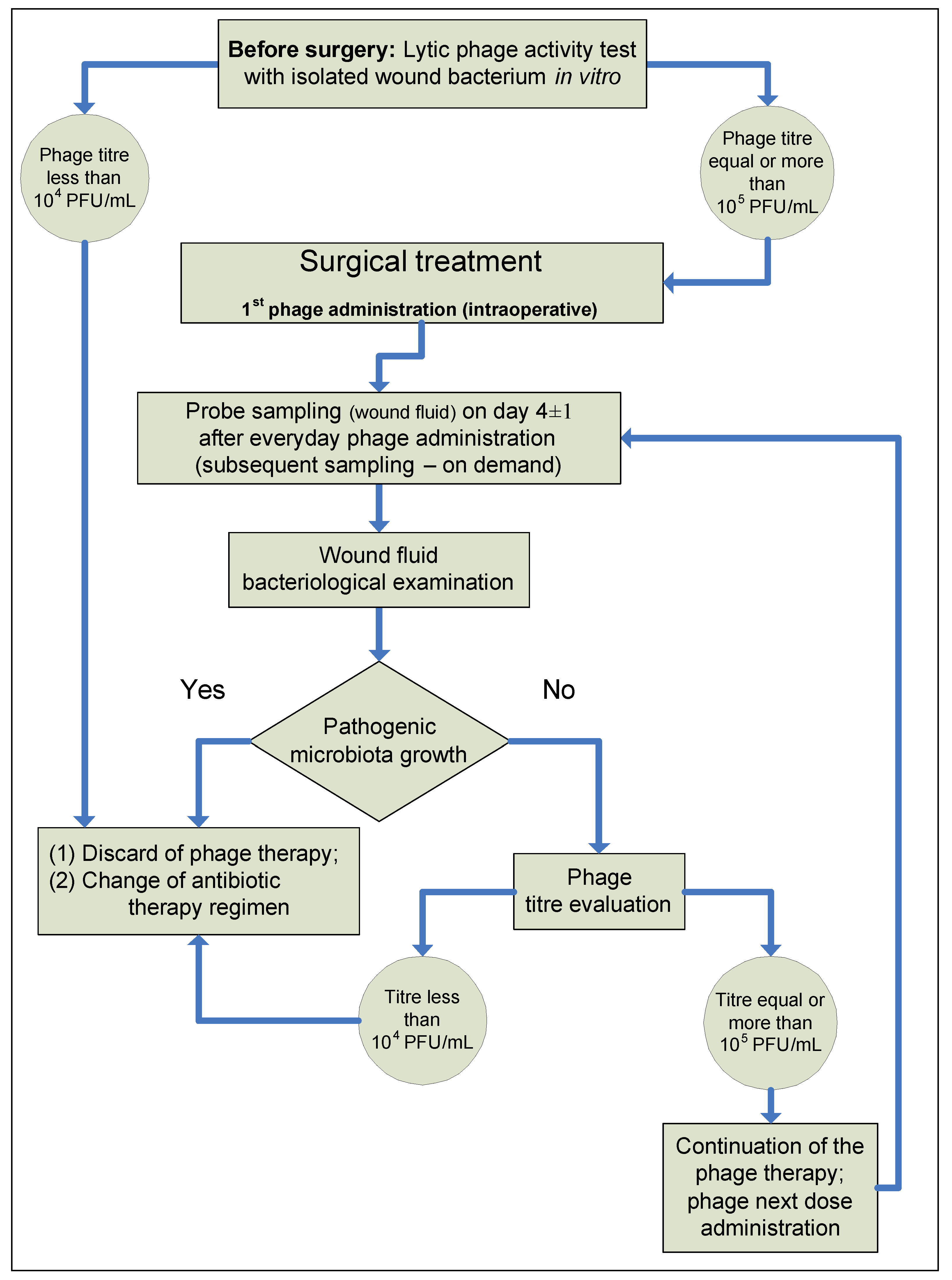 Viruses 15 00499 g002