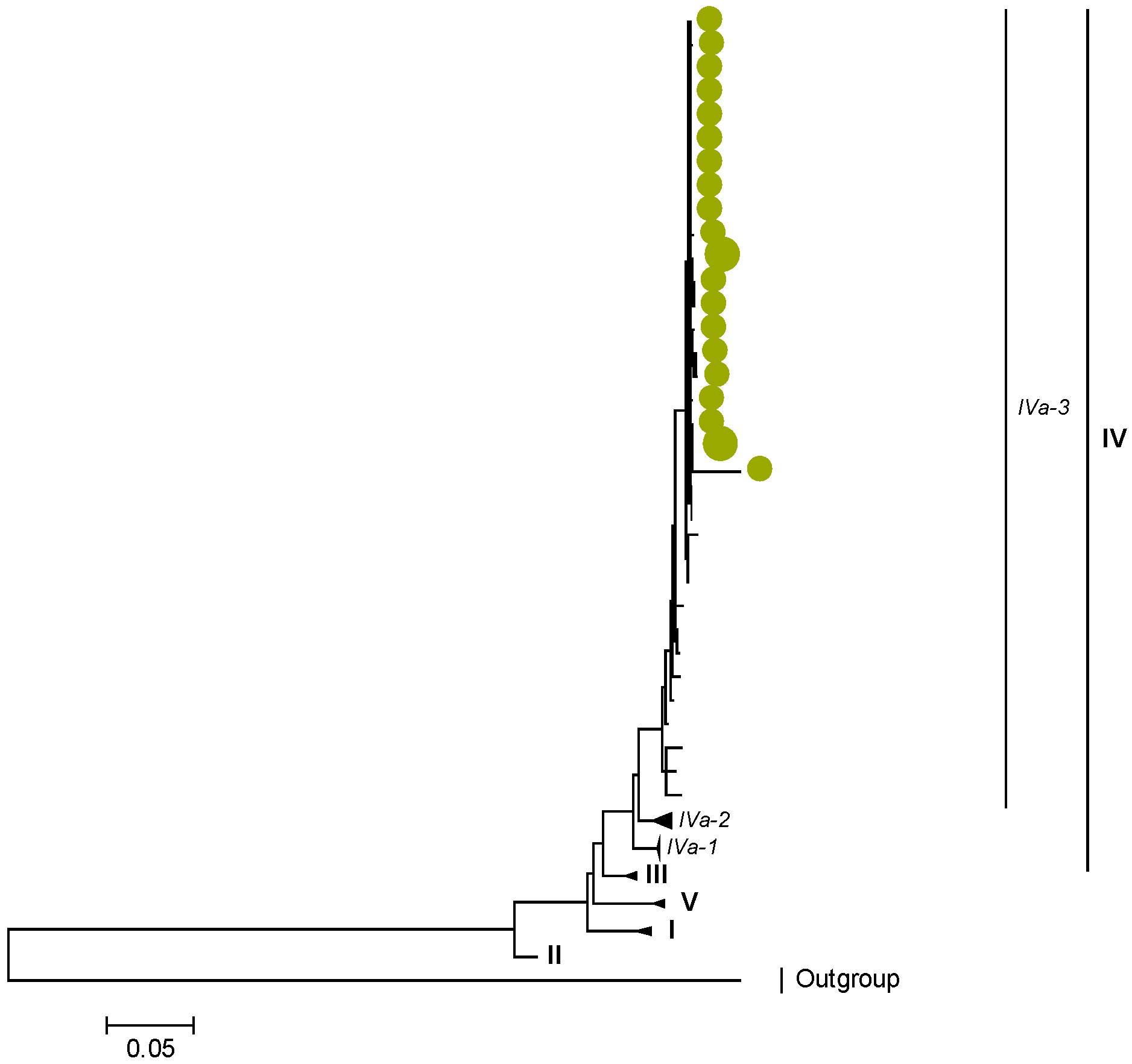 Viruses 15 00501 g001