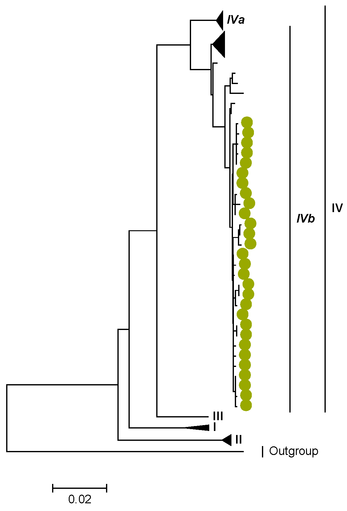 Viruses 15 00501 g002
