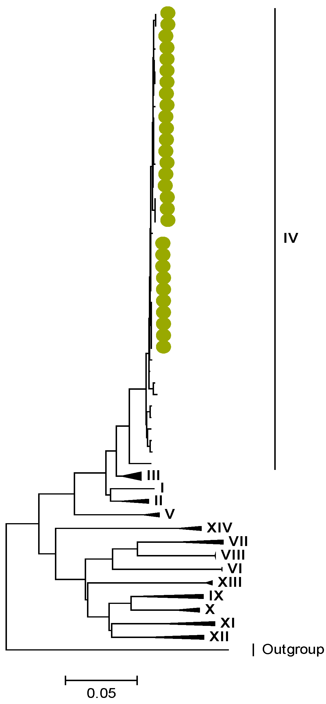 Viruses 15 00501 g004