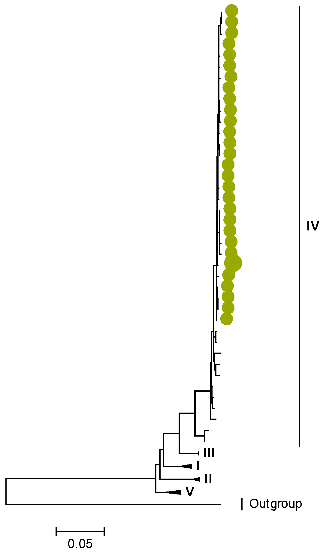 Viruses 15 00501 g007
