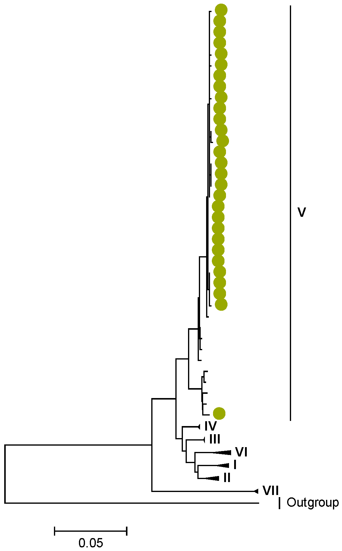 Viruses 15 00501 g009
