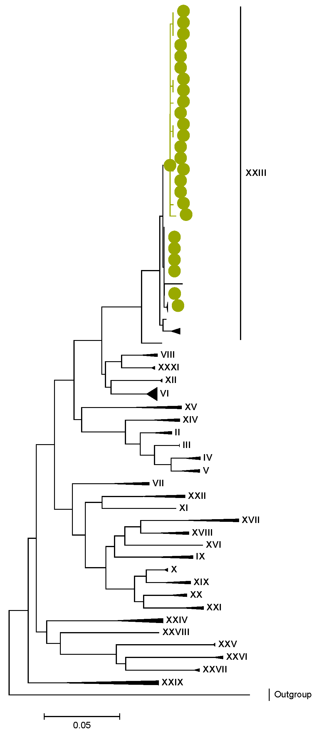 Viruses 15 00501 g010