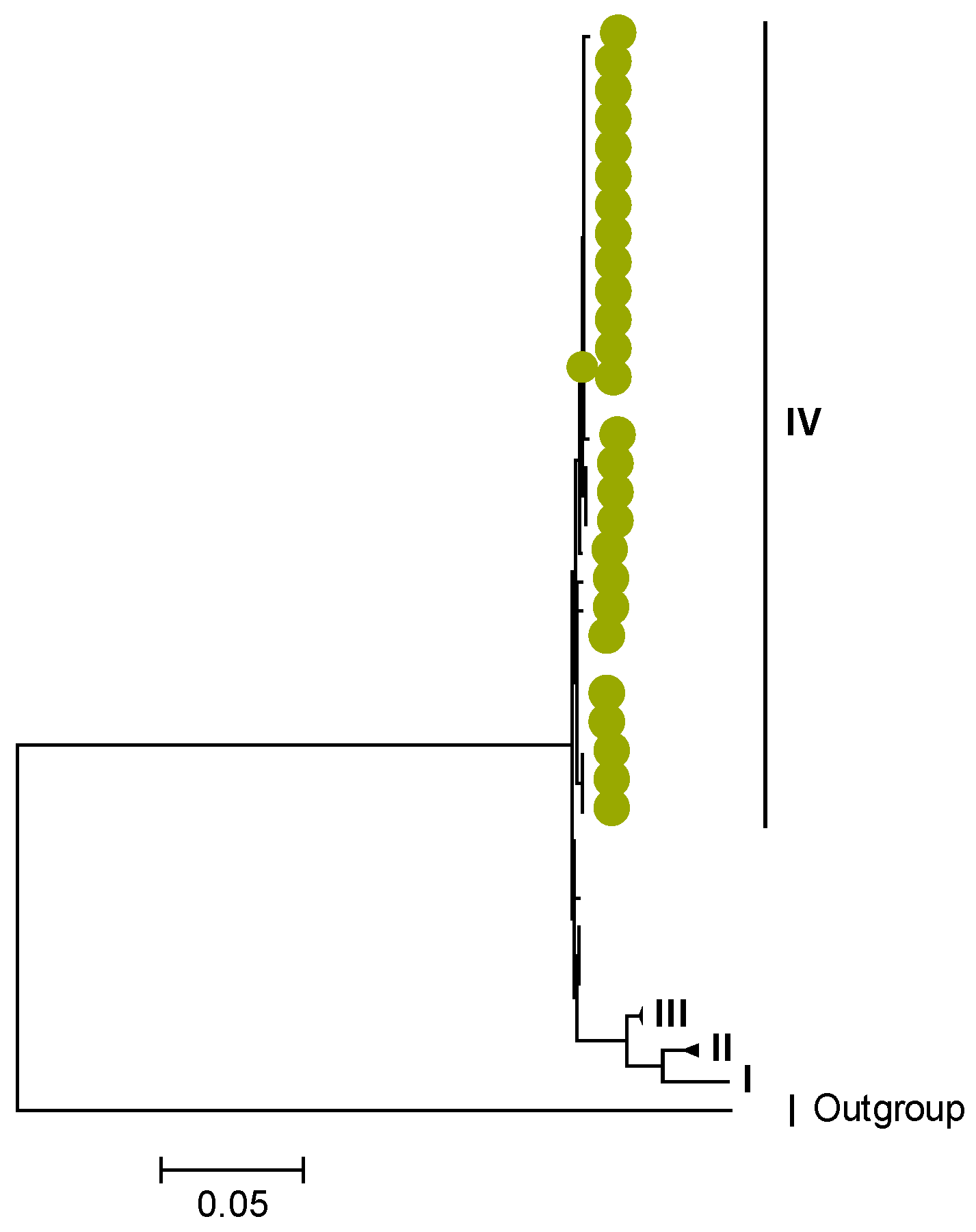 Viruses 15 00501 g011