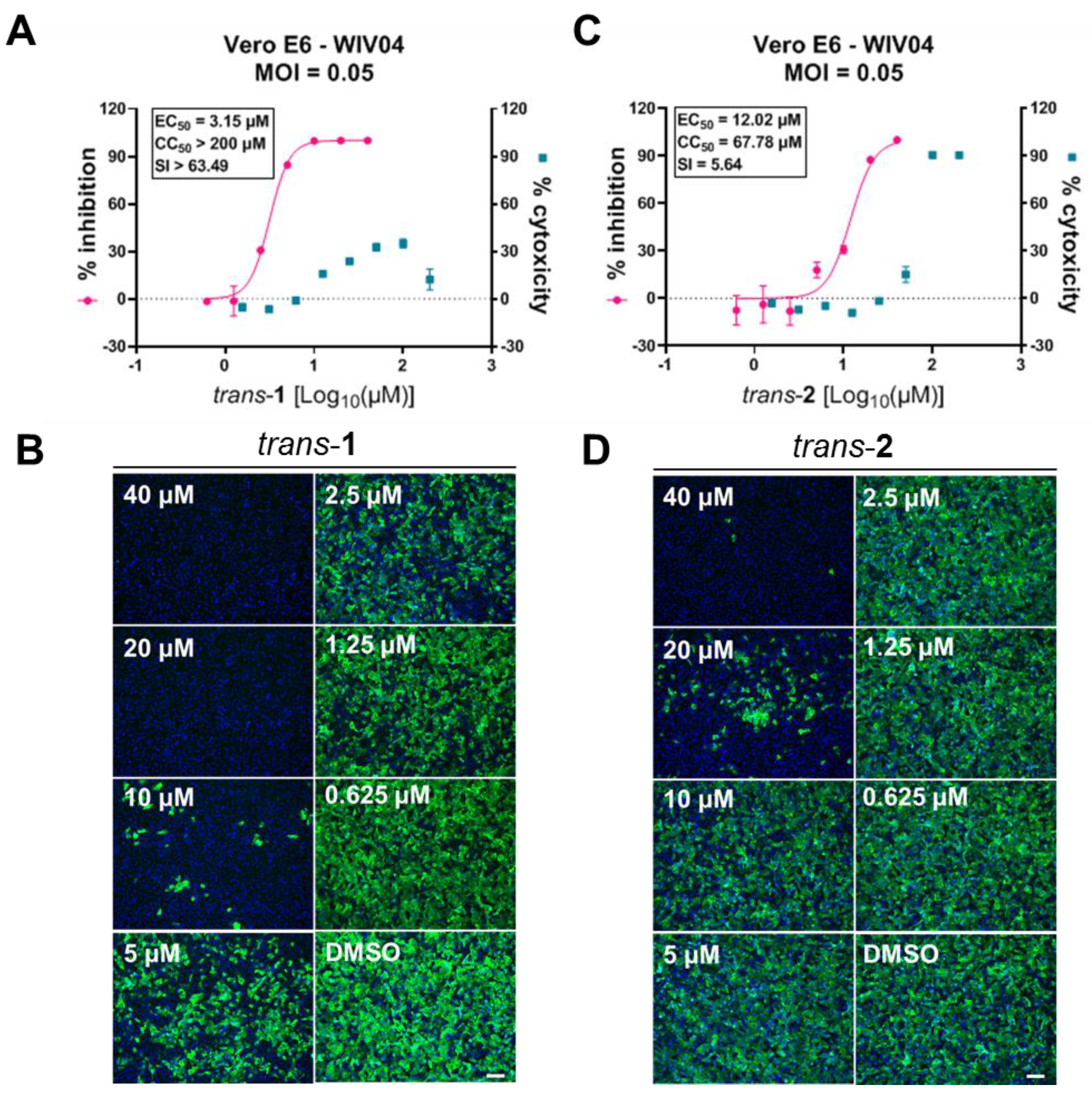 Viruses 15 00502 g003 550