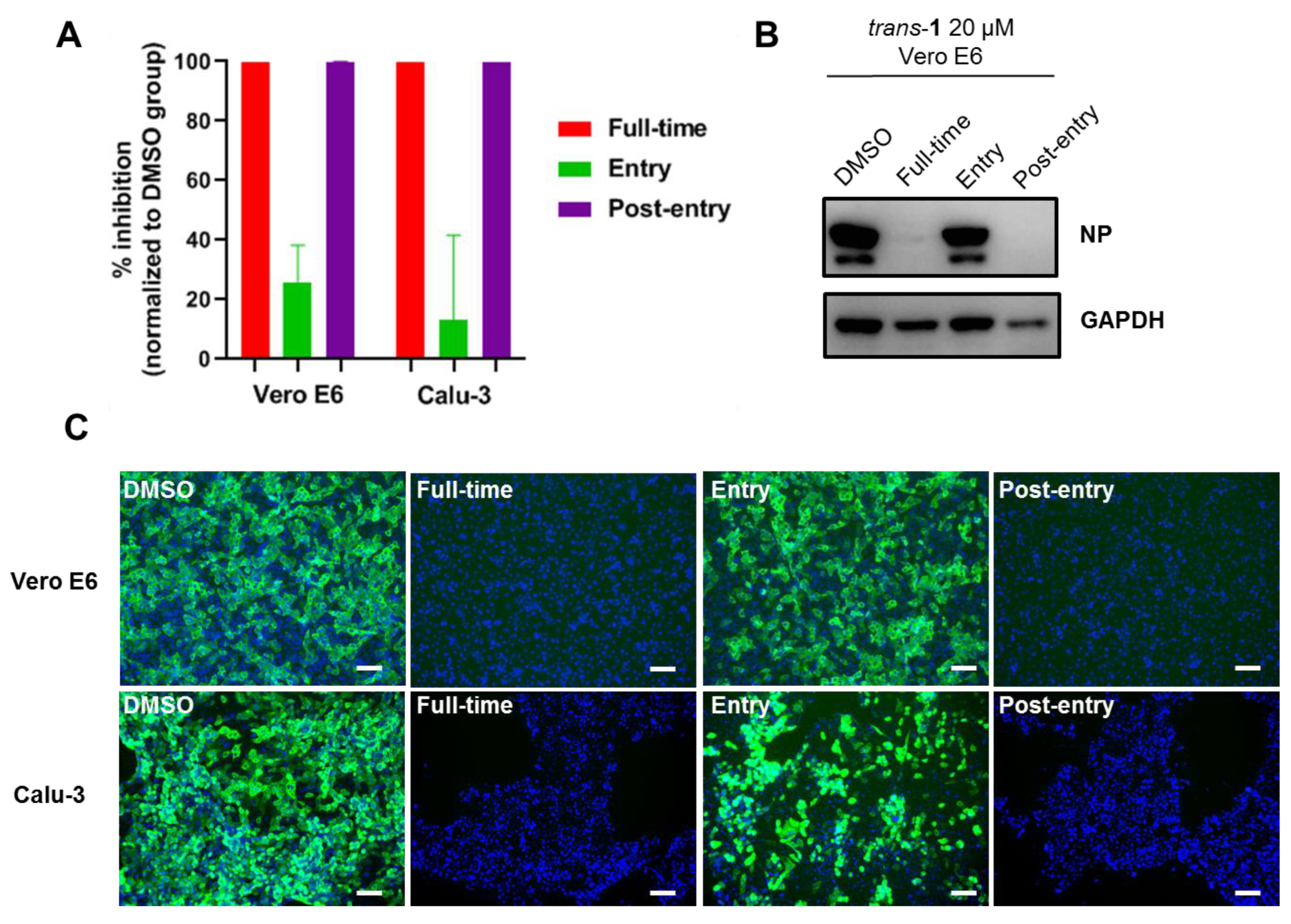 Viruses 15 00502 g005 550