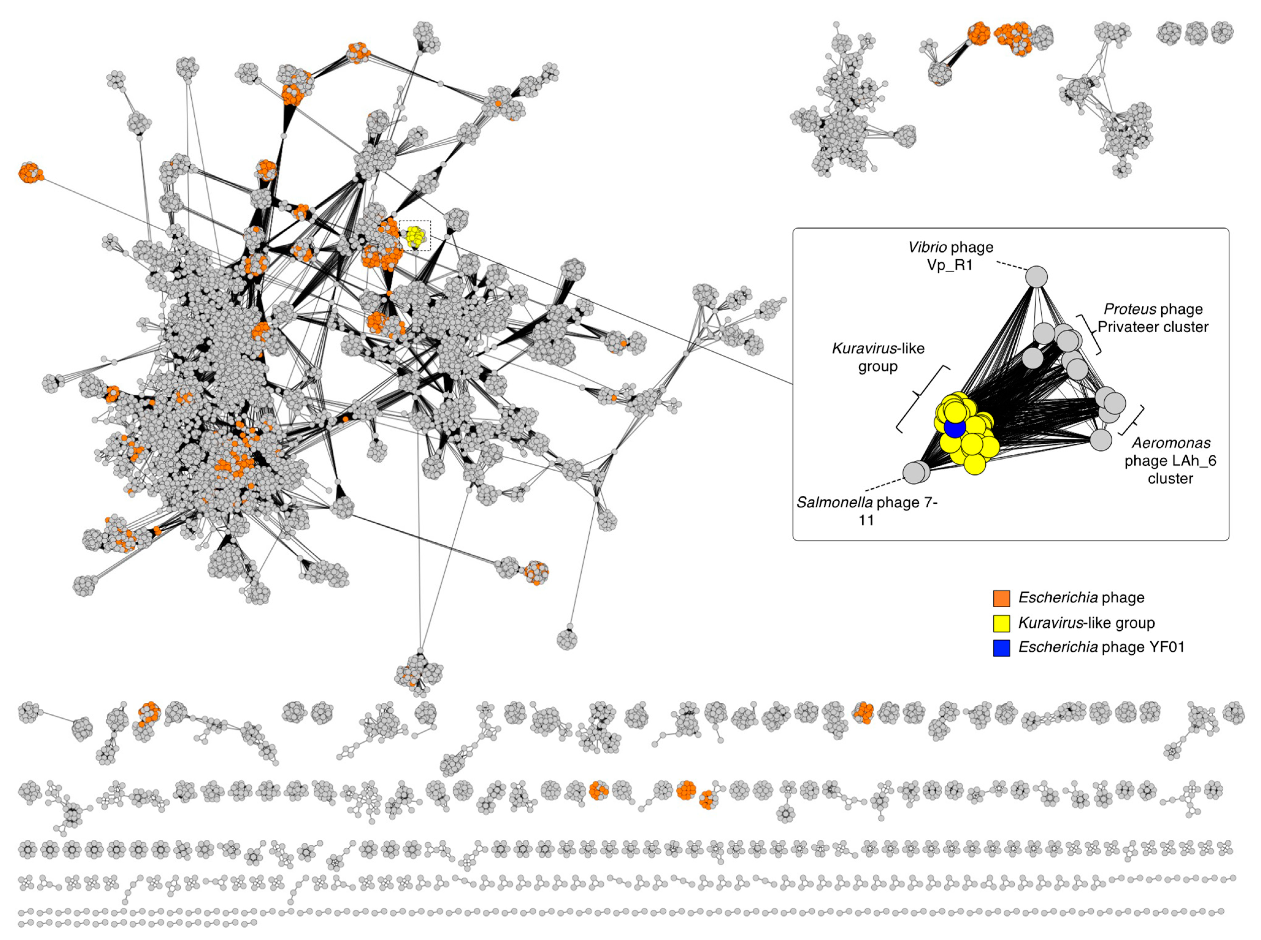 Viruses 15 00506 g002 550