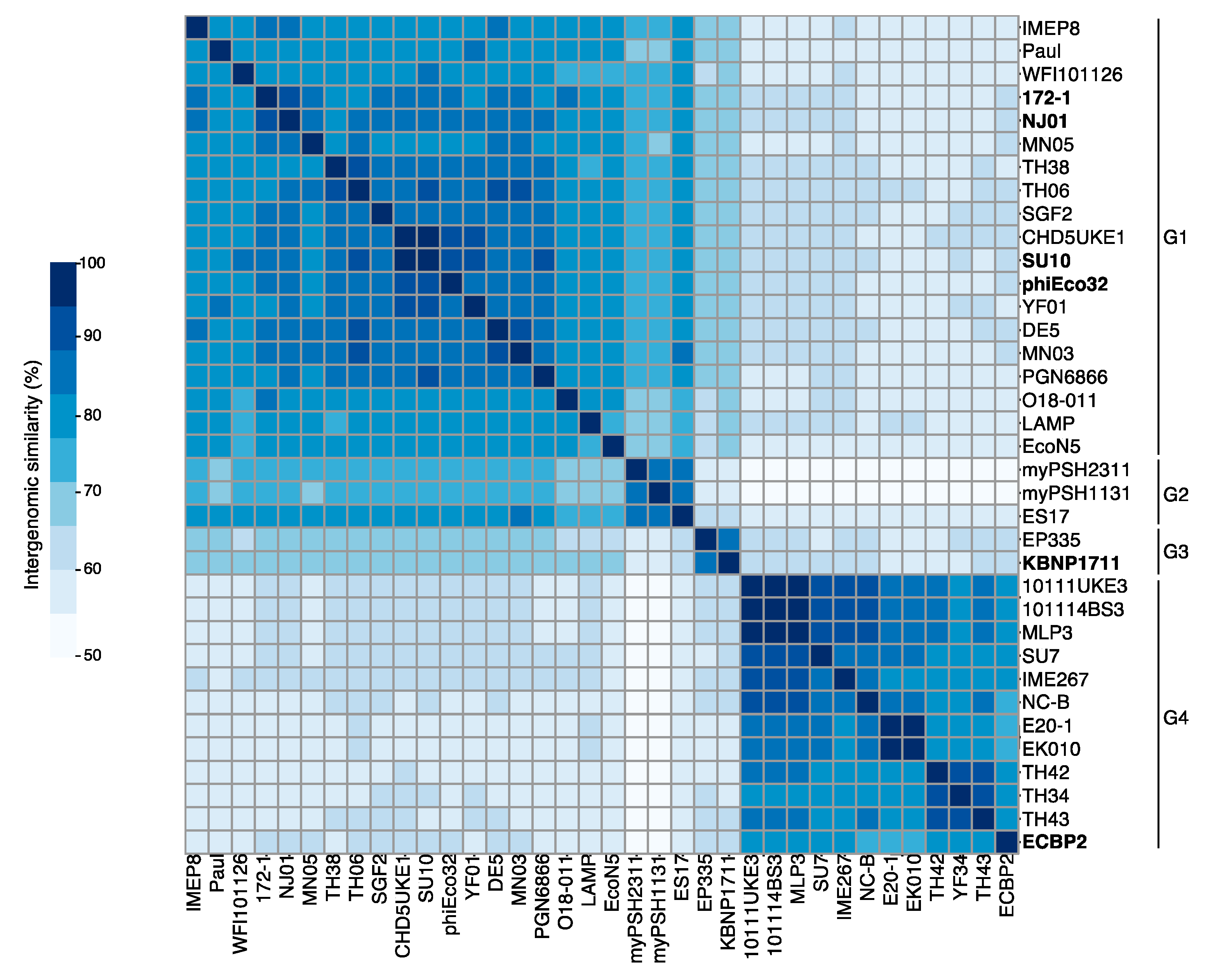 Viruses 15 00506 g003 550