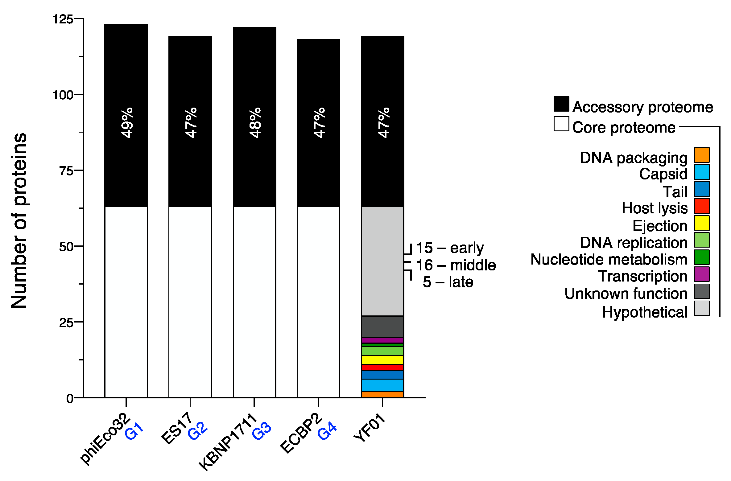 Viruses 15 00506 g008 550