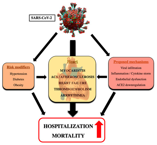 Impact of COVID-19 on Cardiovascular Disease