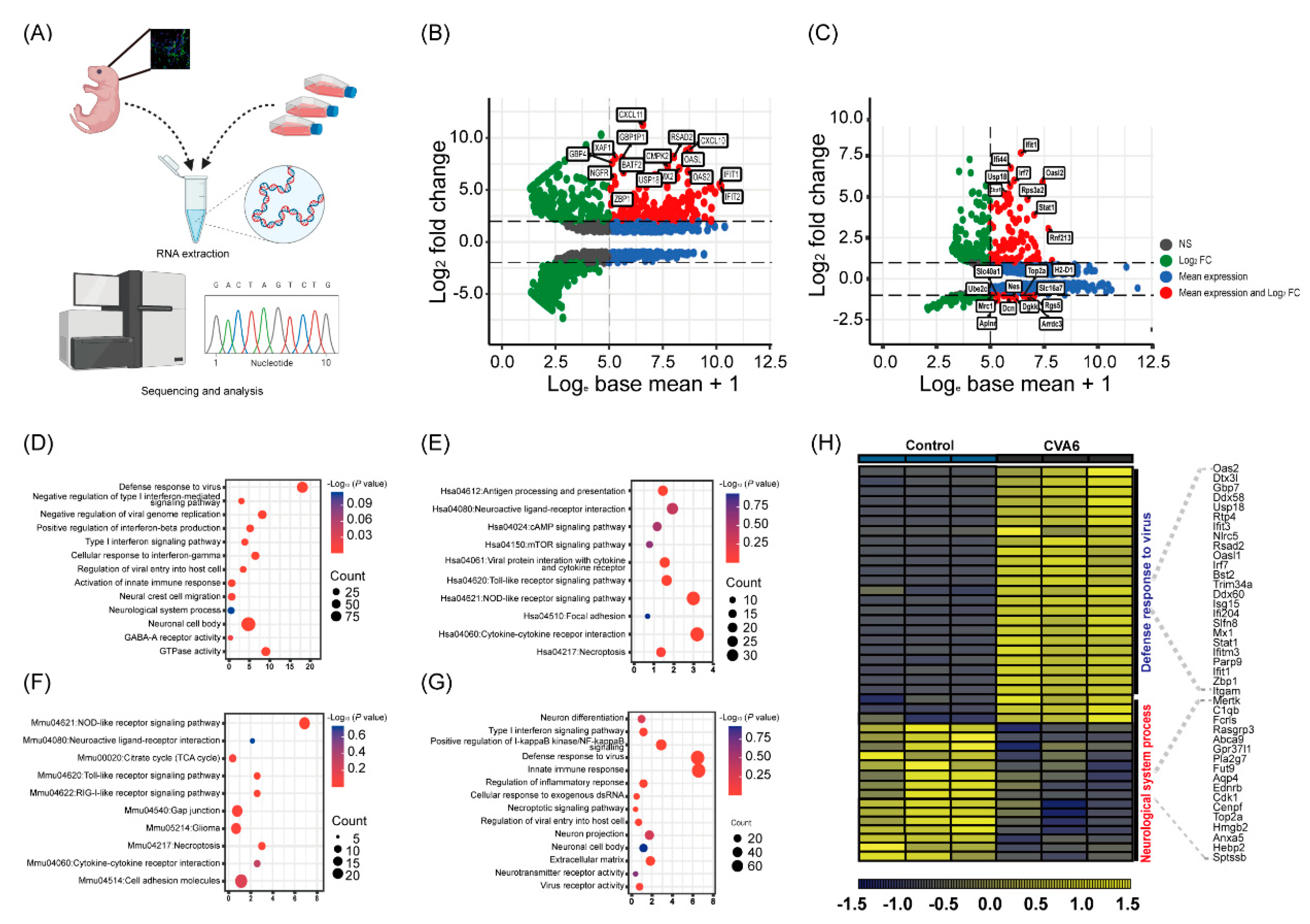 Viruses 15 00511 g005 Viruses 15 00511 g005