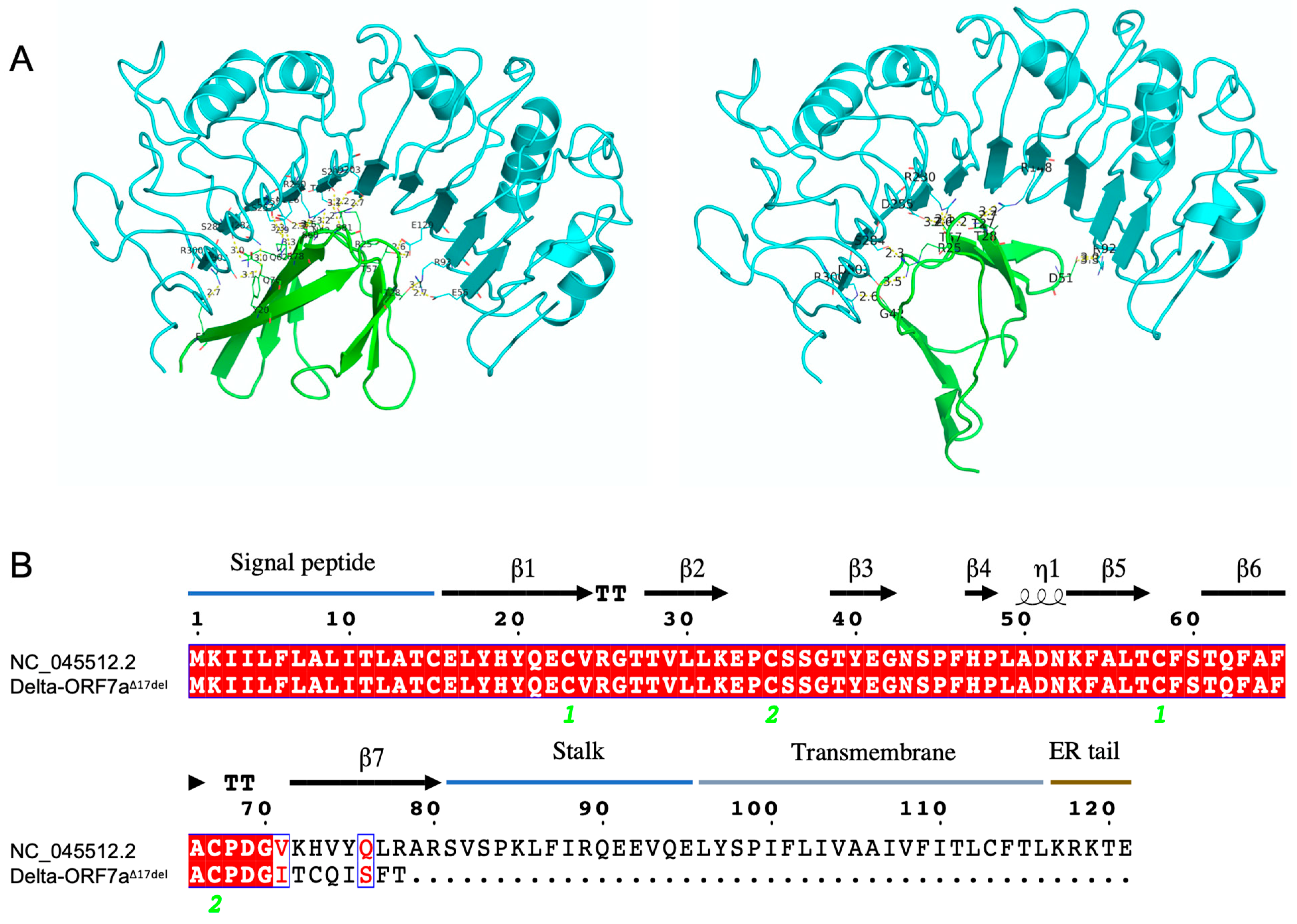 Viruses 15 00522 g003 Viruses 15 00522 g003